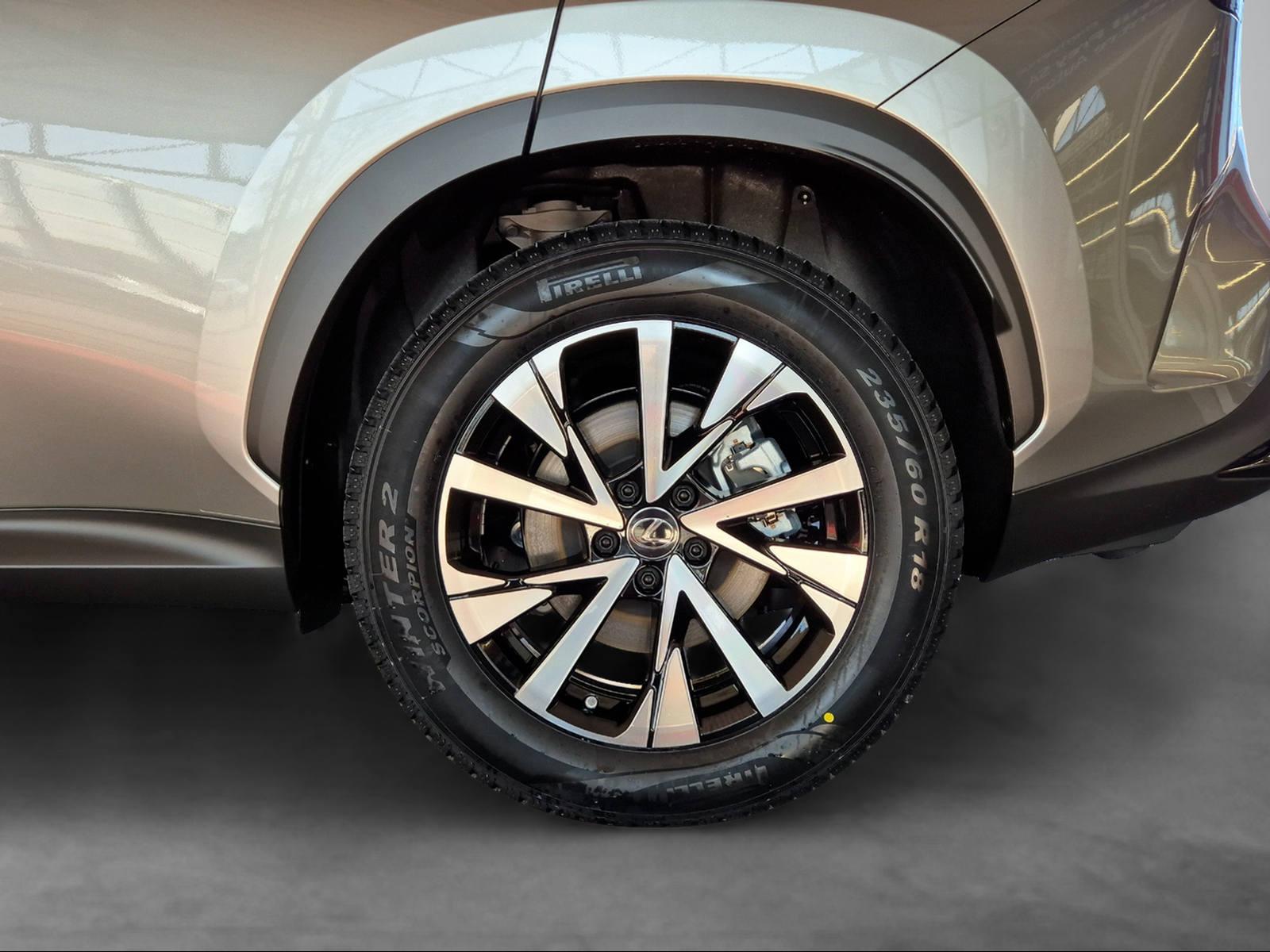 LEXUS NX 450h+ Comfort-image-11