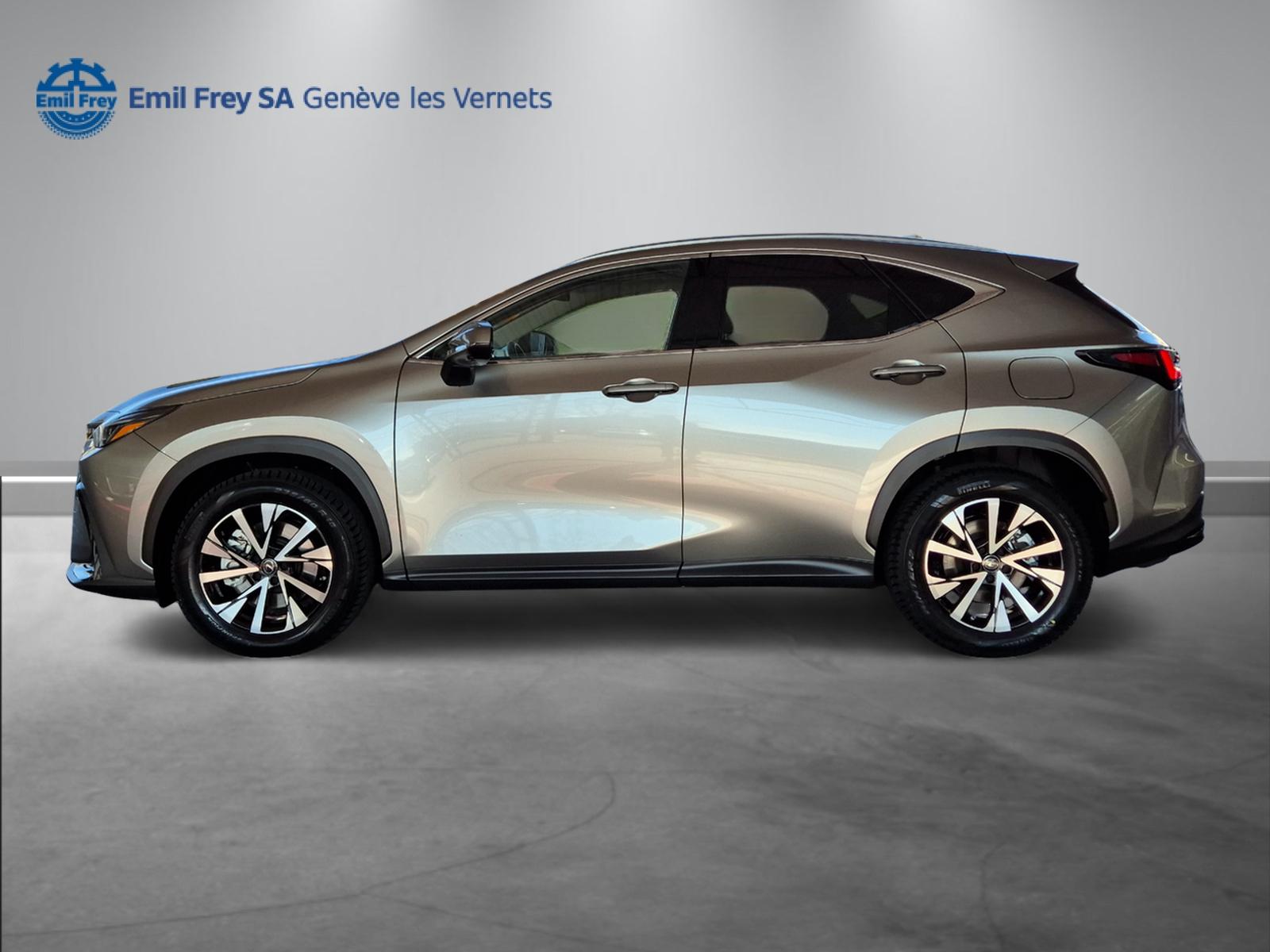 LEXUS NX 450h+ Comfort-image-3