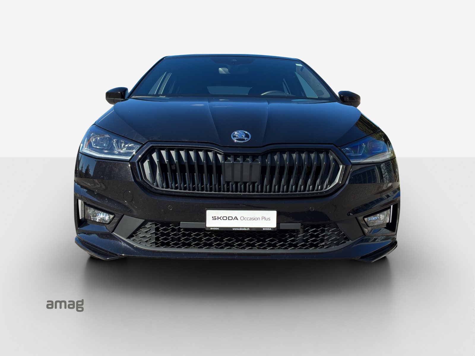 SKODA Fabia 1.5 TSI Monte Carlo DSG-image-6