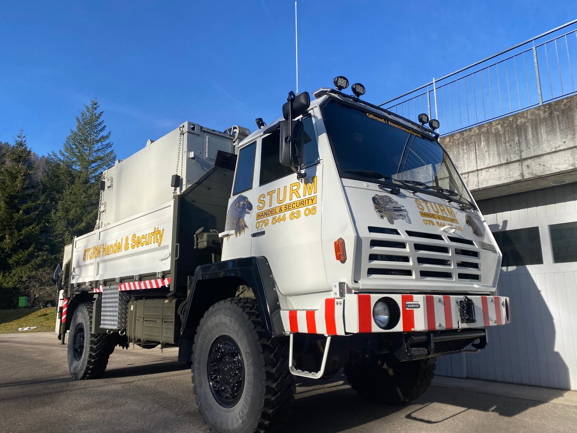 STEYR 1291.320 4x4-image-1