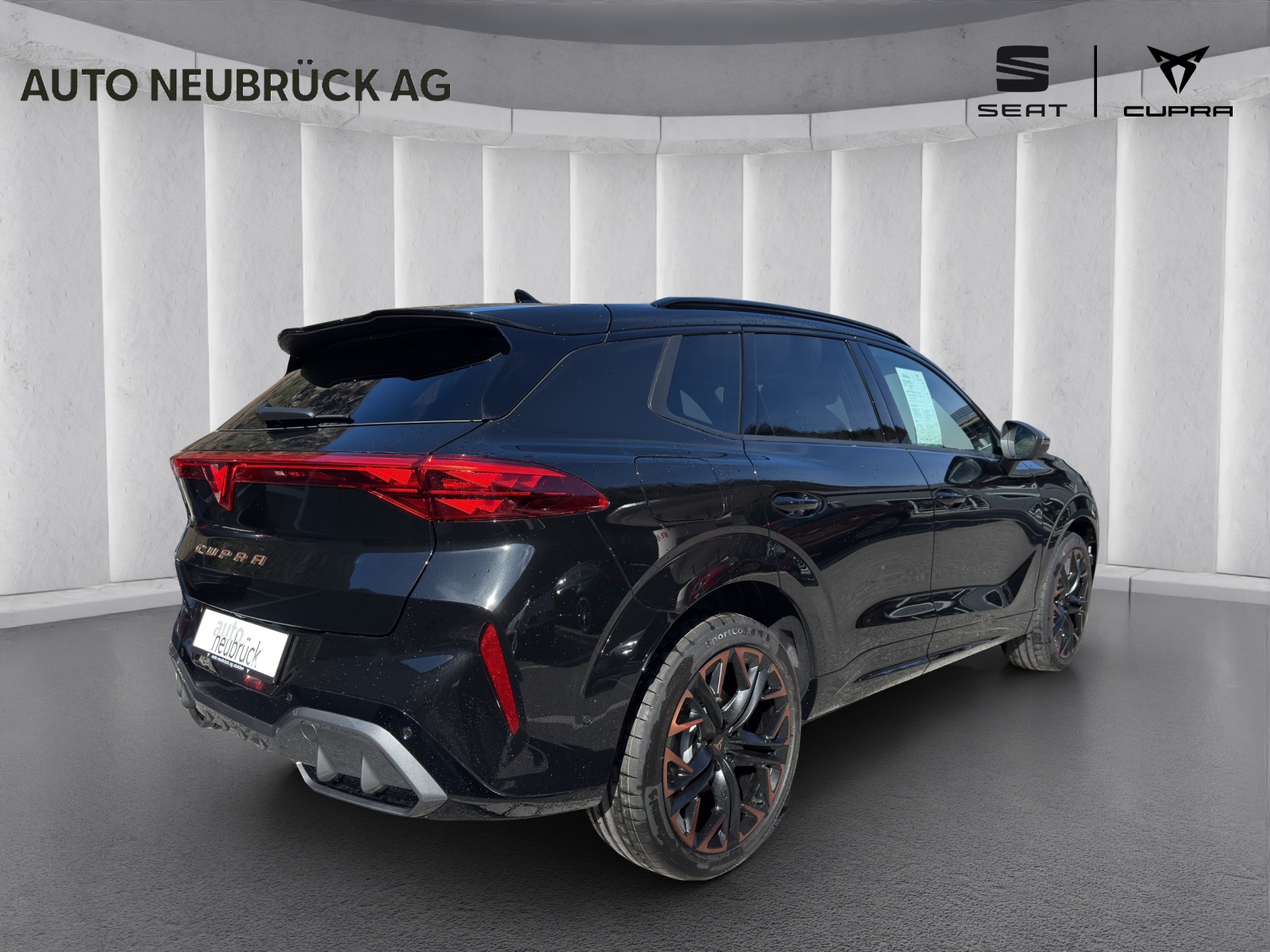 CUPRA Terramar 2.0 TSI DSG 4Drive VZ-image-3