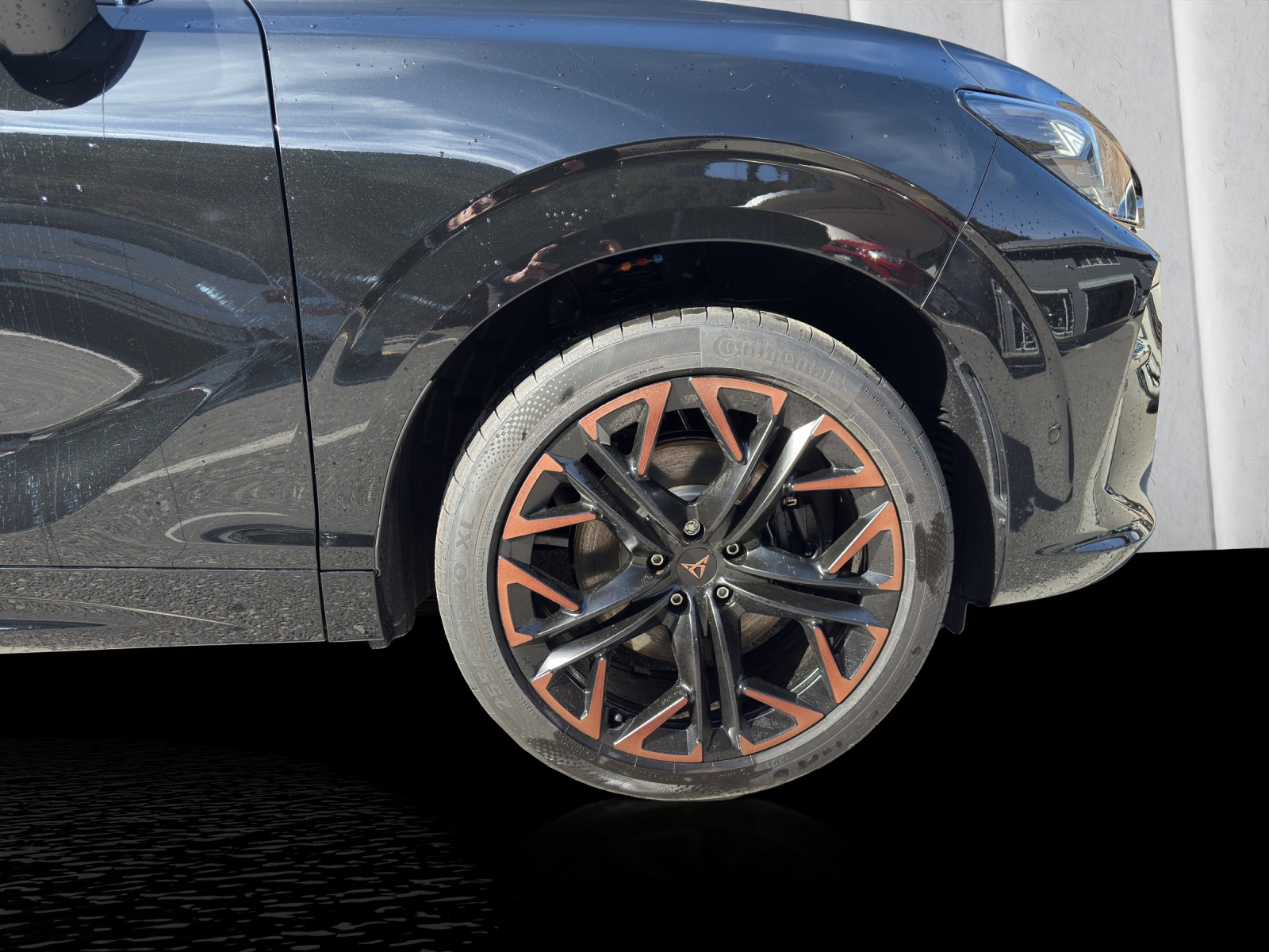 CUPRA Terramar 2.0 TSI DSG 4Drive VZ-image-11
