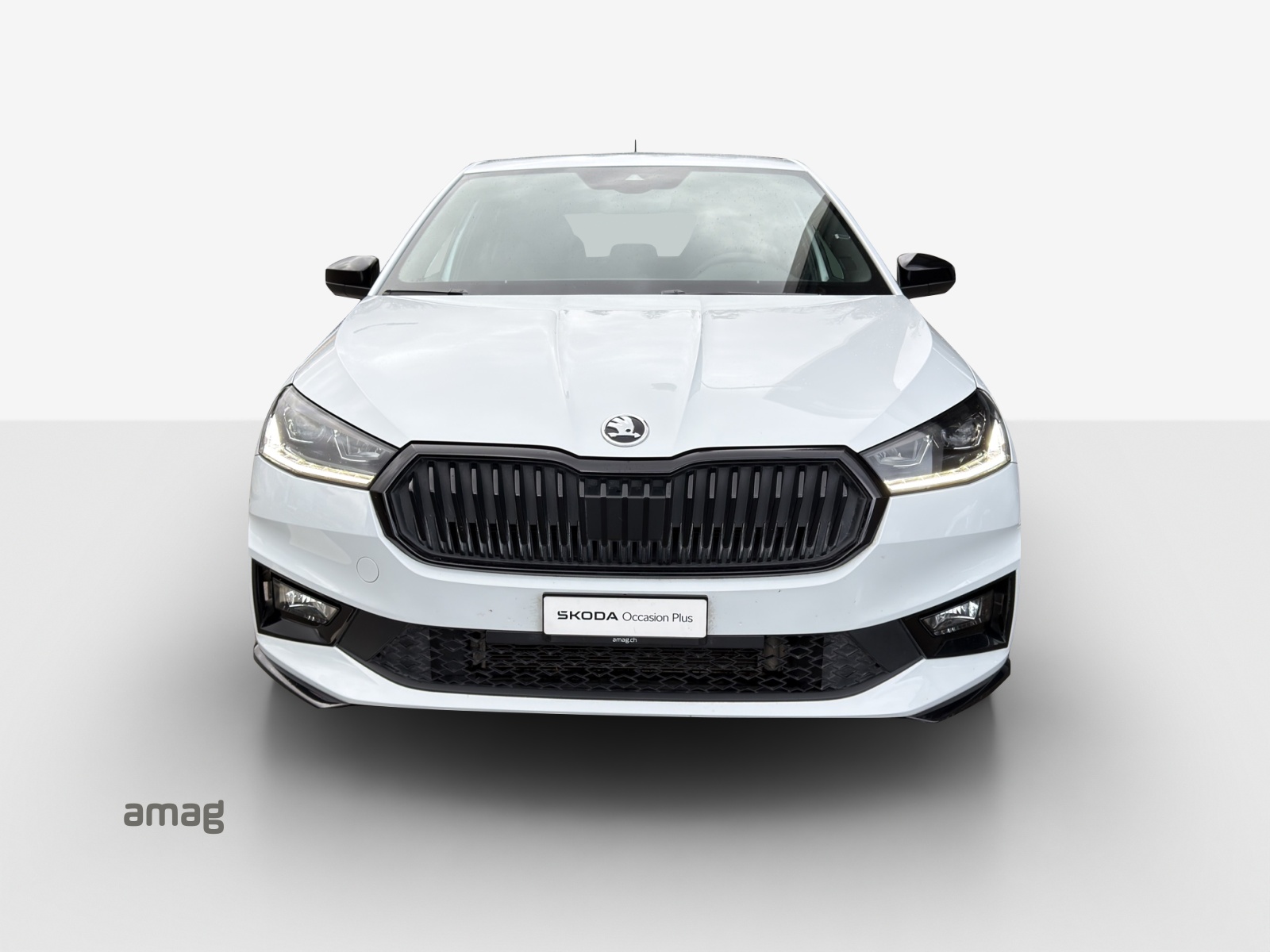SKODA Fabia 1.0 TSI Monte Carlo DSG-image-6