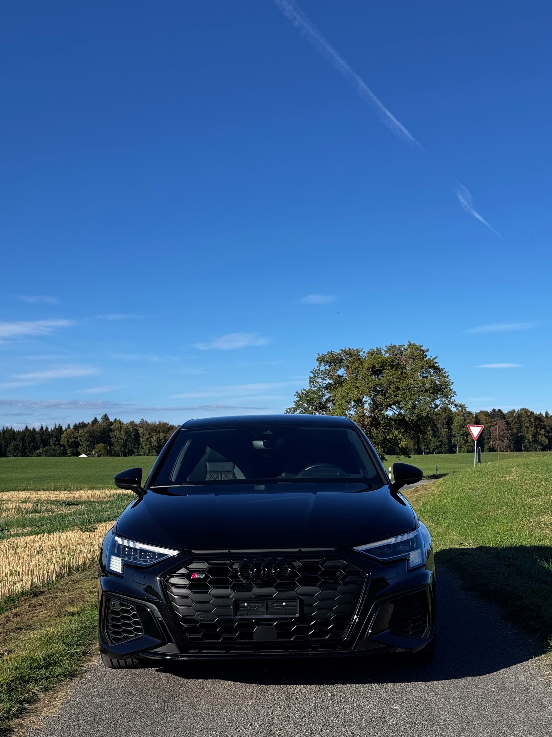 AUDI Limousine 2.0 TFSI quattro S-Tronic-image-1