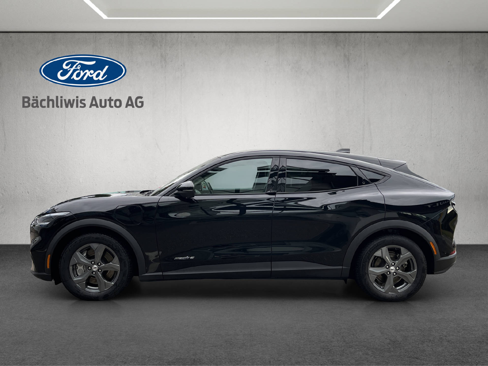 FORD Mustang Mach-E Standard-image-1