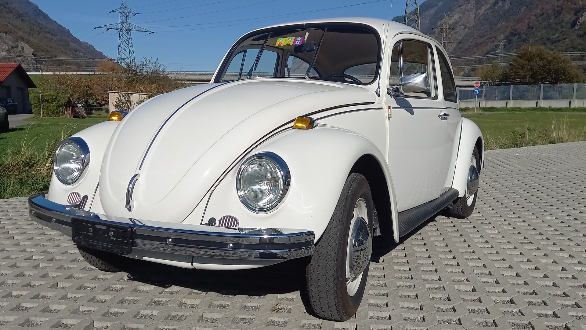 VW Käfer-image-0