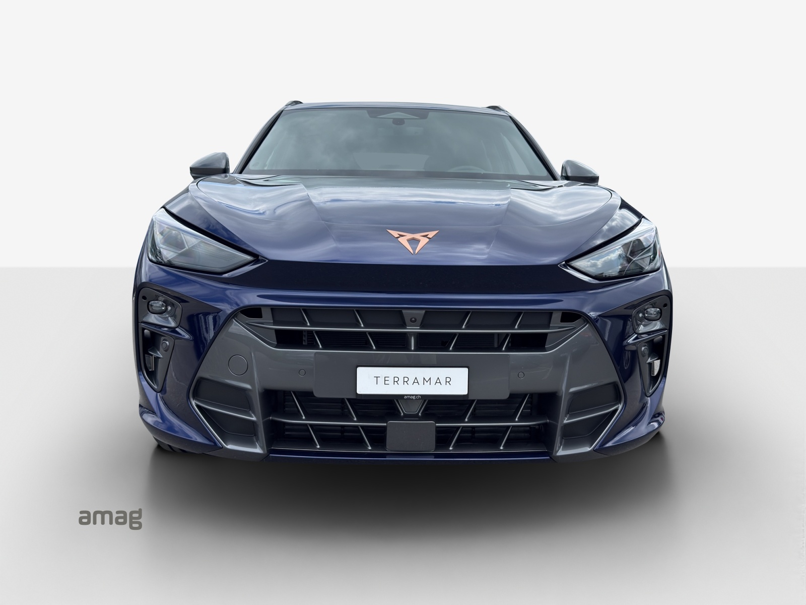 CUPRA Terramar 1.5 eTSI Prime Edition DSG-image-6