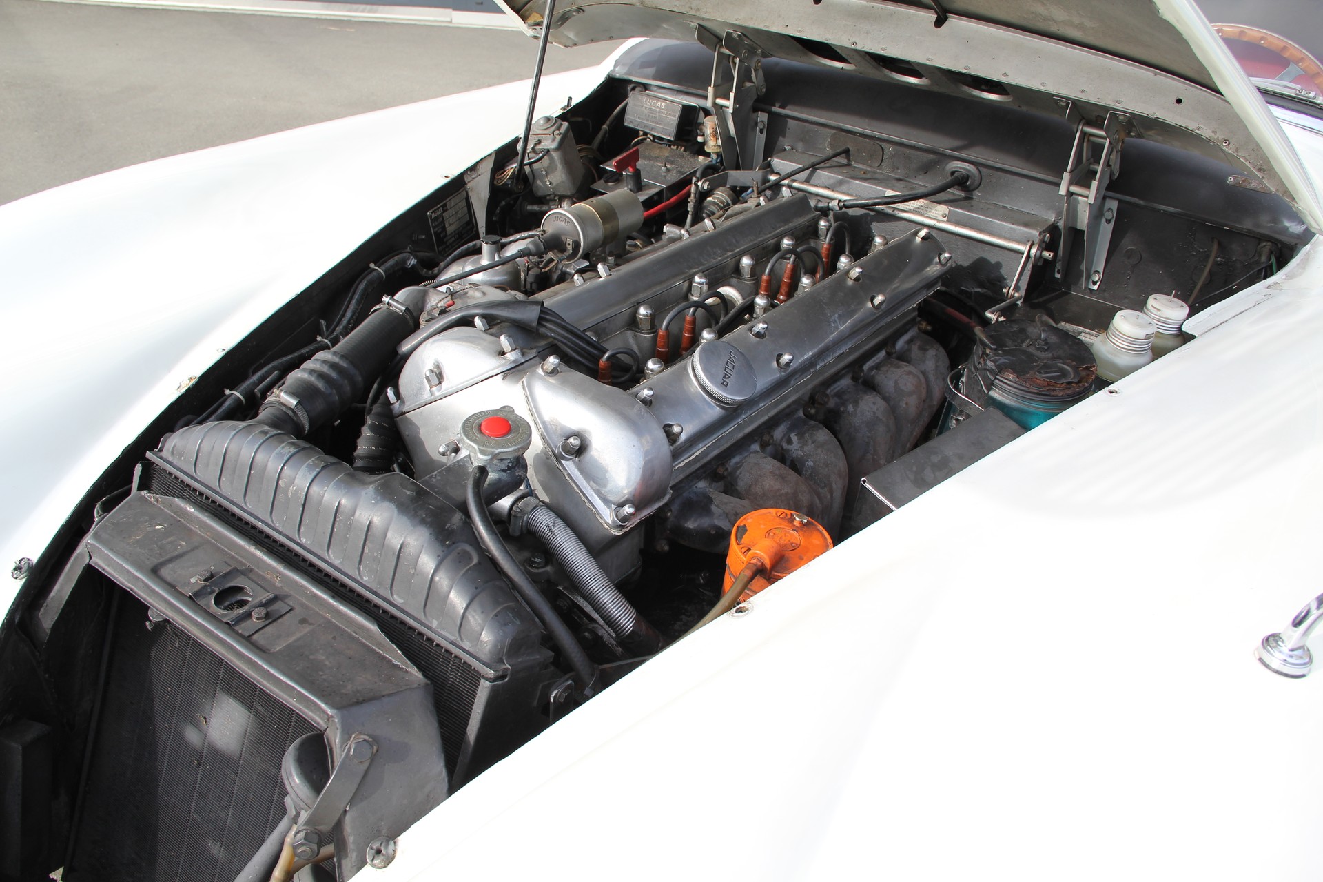 JAGUAR XK150-image-9