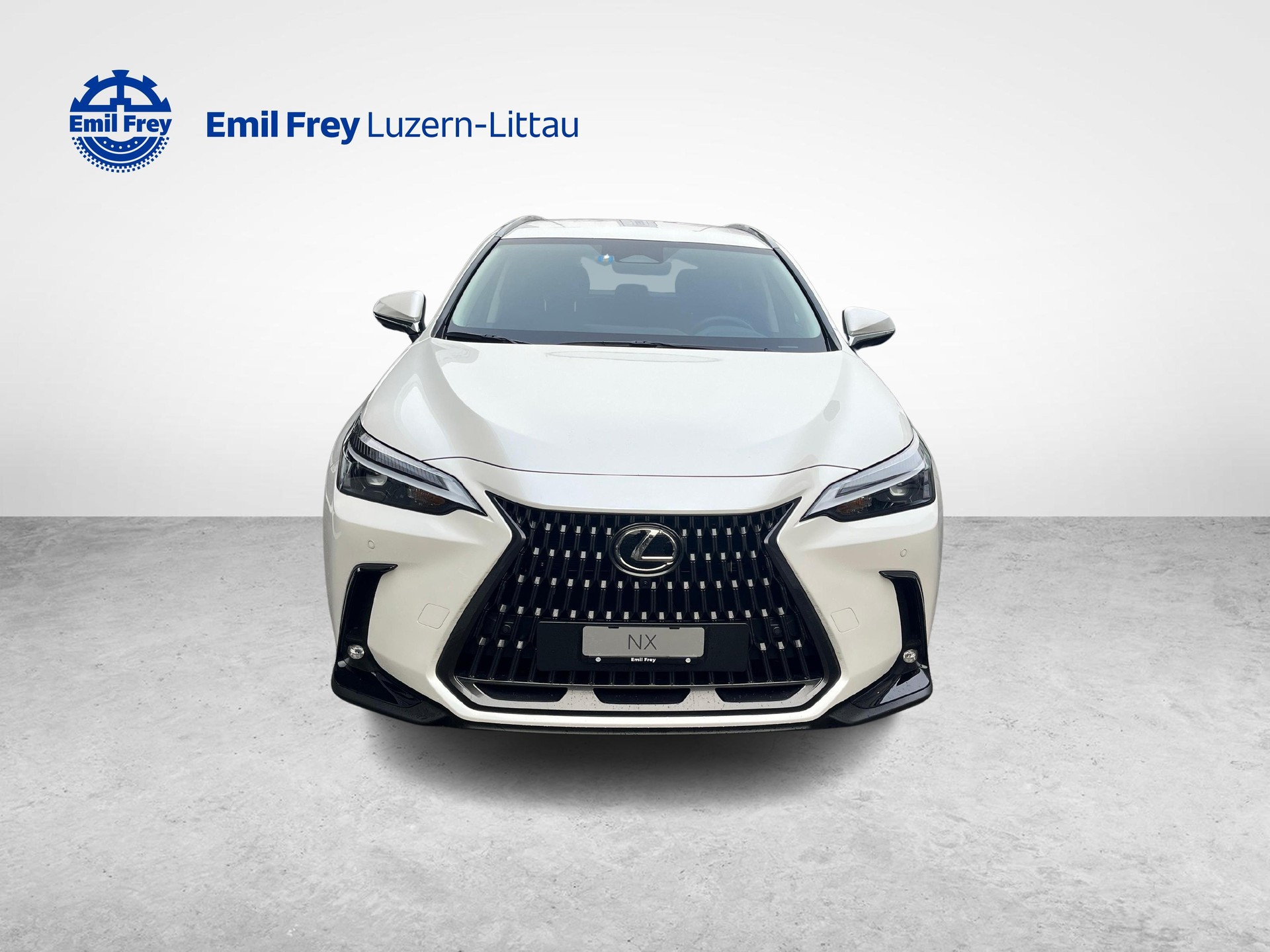 LEXUS NX 450h+ Comfort-image-8