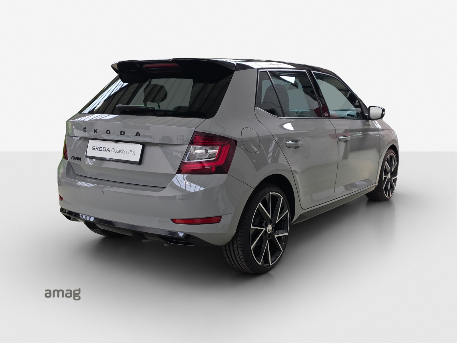 SKODA Fabia 1.0 TSI Monte Carlo-image-4