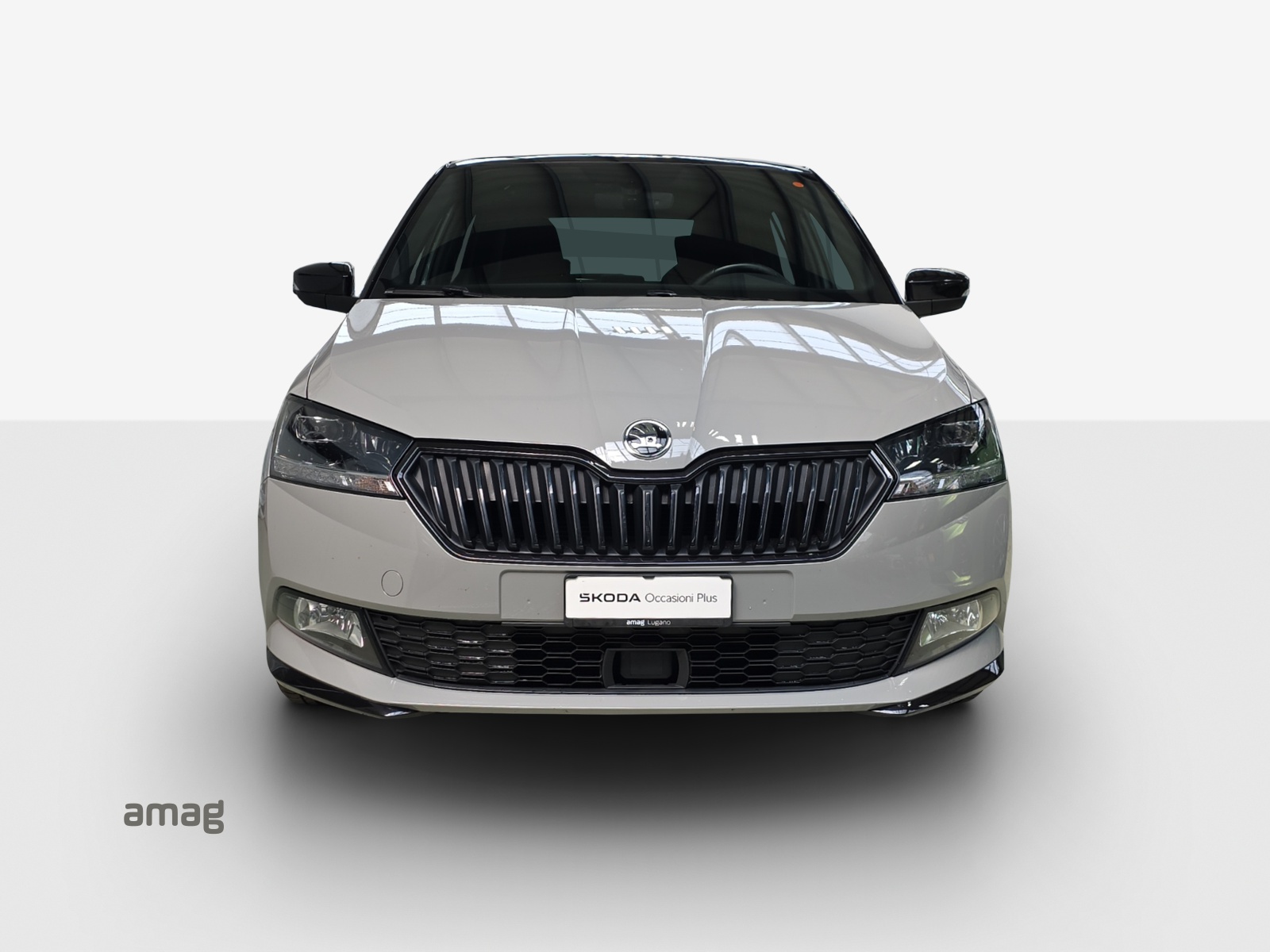 SKODA Fabia 1.0 TSI Monte Carlo-image-6