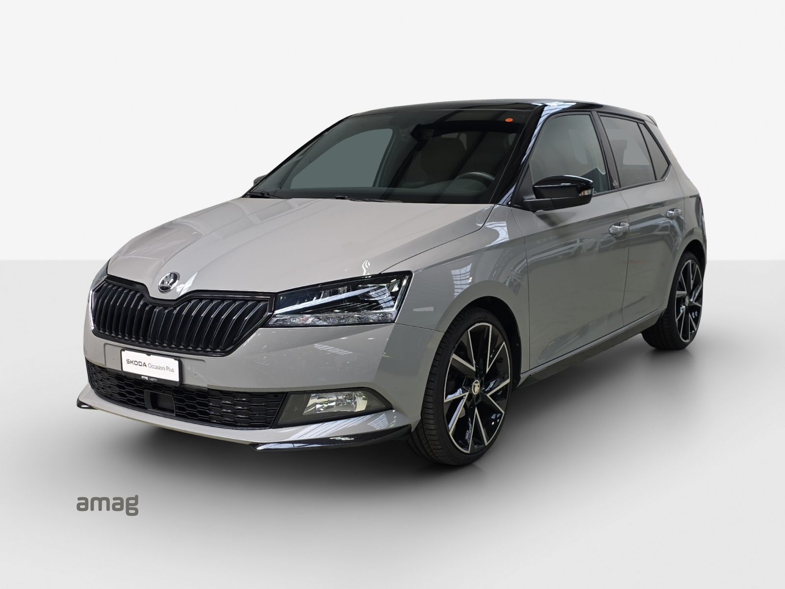 SKODA Fabia 1.0 TSI Monte Carlo-image-0