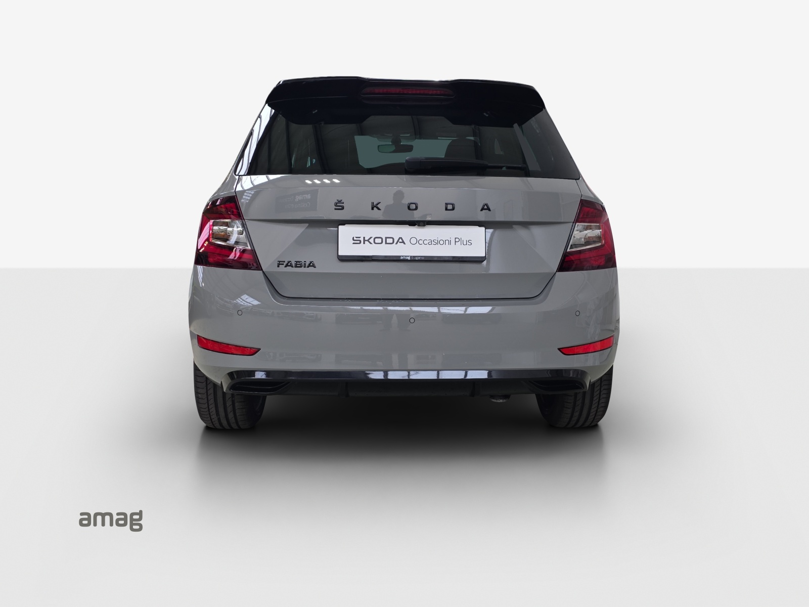SKODA Fabia 1.0 TSI Monte Carlo-image-3