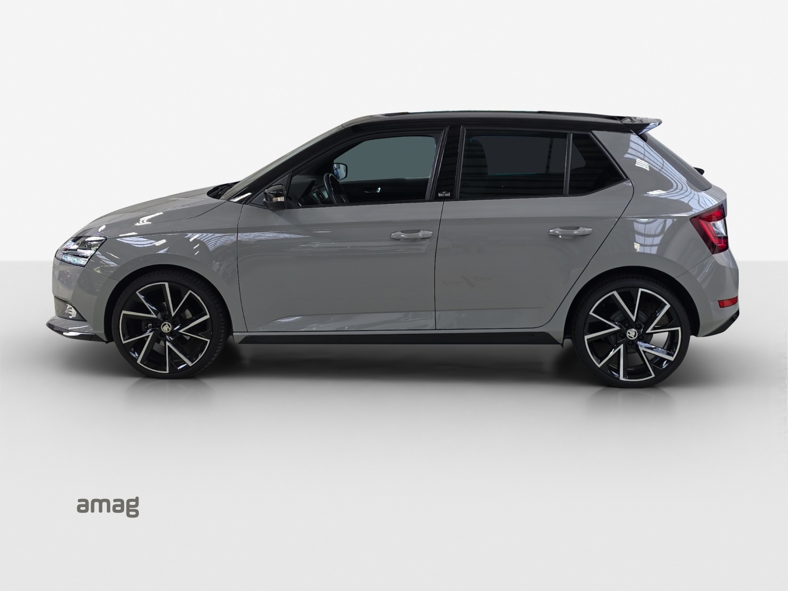 SKODA Fabia 1.0 TSI Monte Carlo-image-1
