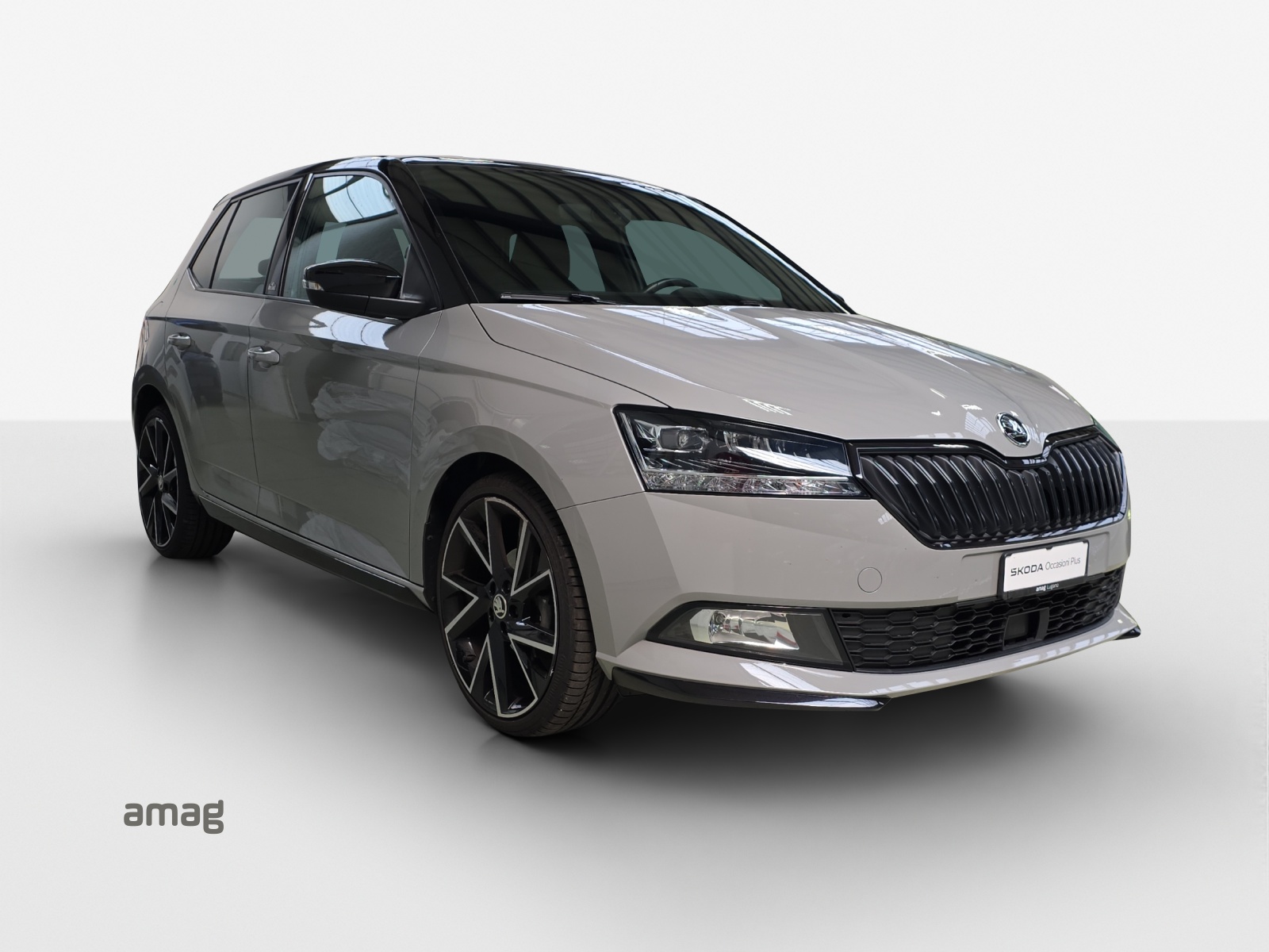 SKODA Fabia 1.0 TSI Monte Carlo-image-5