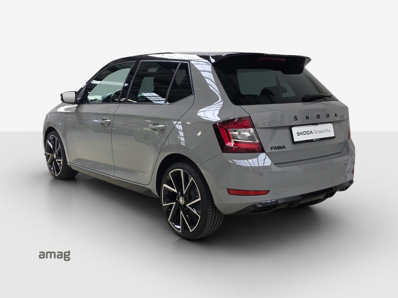 SKODA Fabia 1.0 TSI Monte Carlo-image-2
