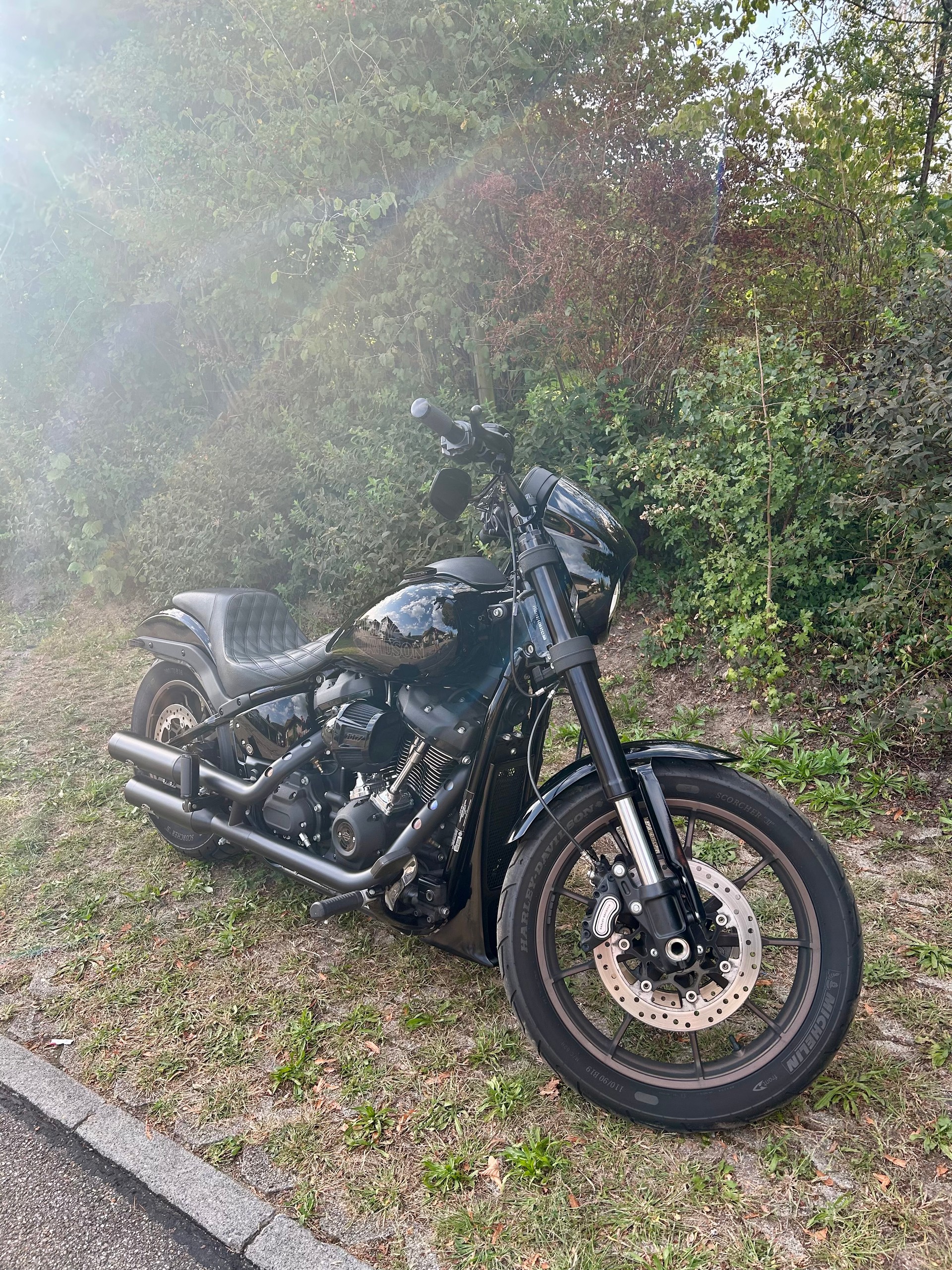 HARLEY-DAVIDSON FXLRS Low Rider S 117