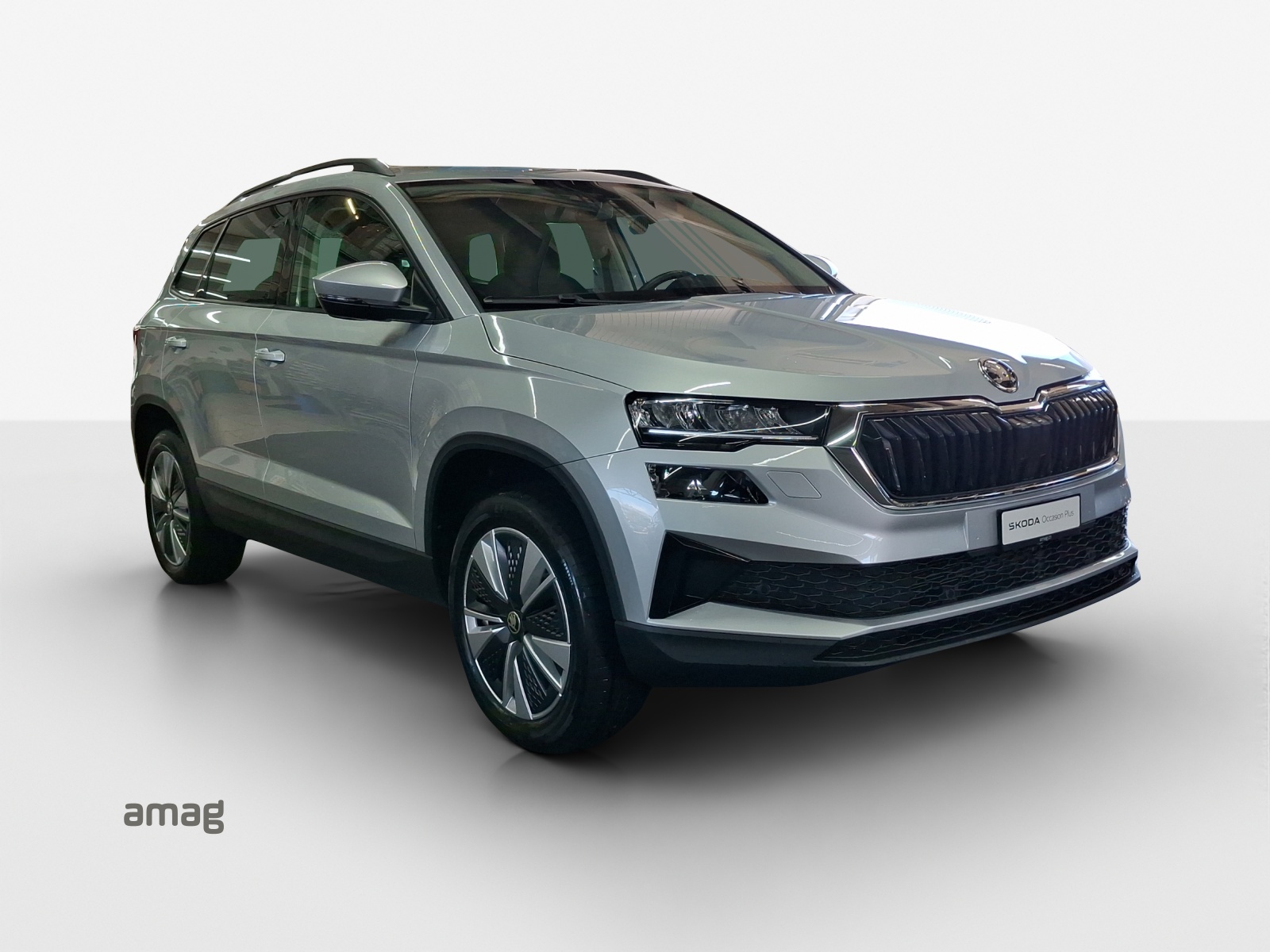 SKODA Karoq 1.5 TSI Ambition-image-5