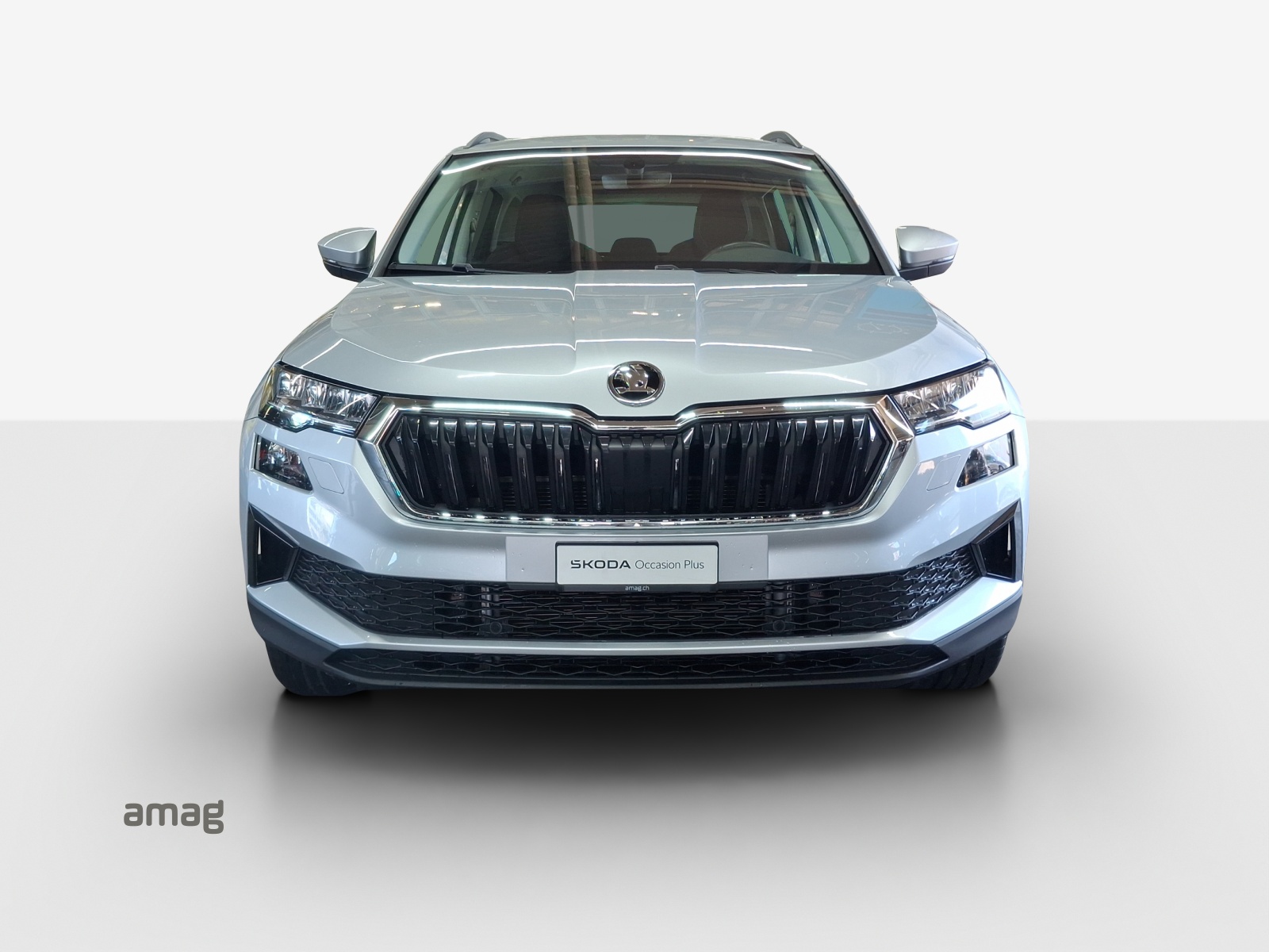 SKODA Karoq 1.5 TSI Ambition-image-6
