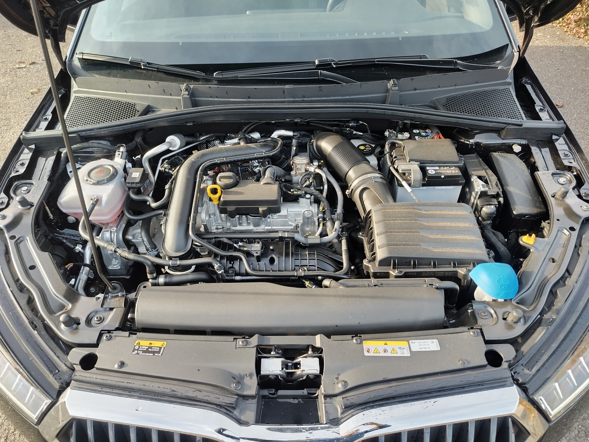 SKODA Fabia 1.0 TSI Dynamic DSG-image-5