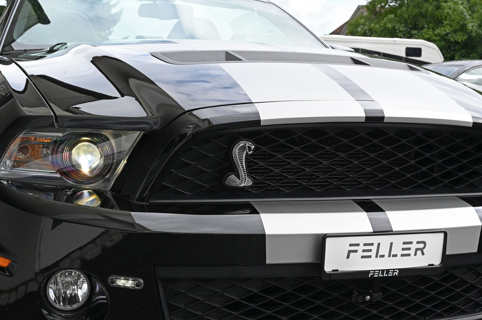 FORD Shelby GT500-showroom-element-3