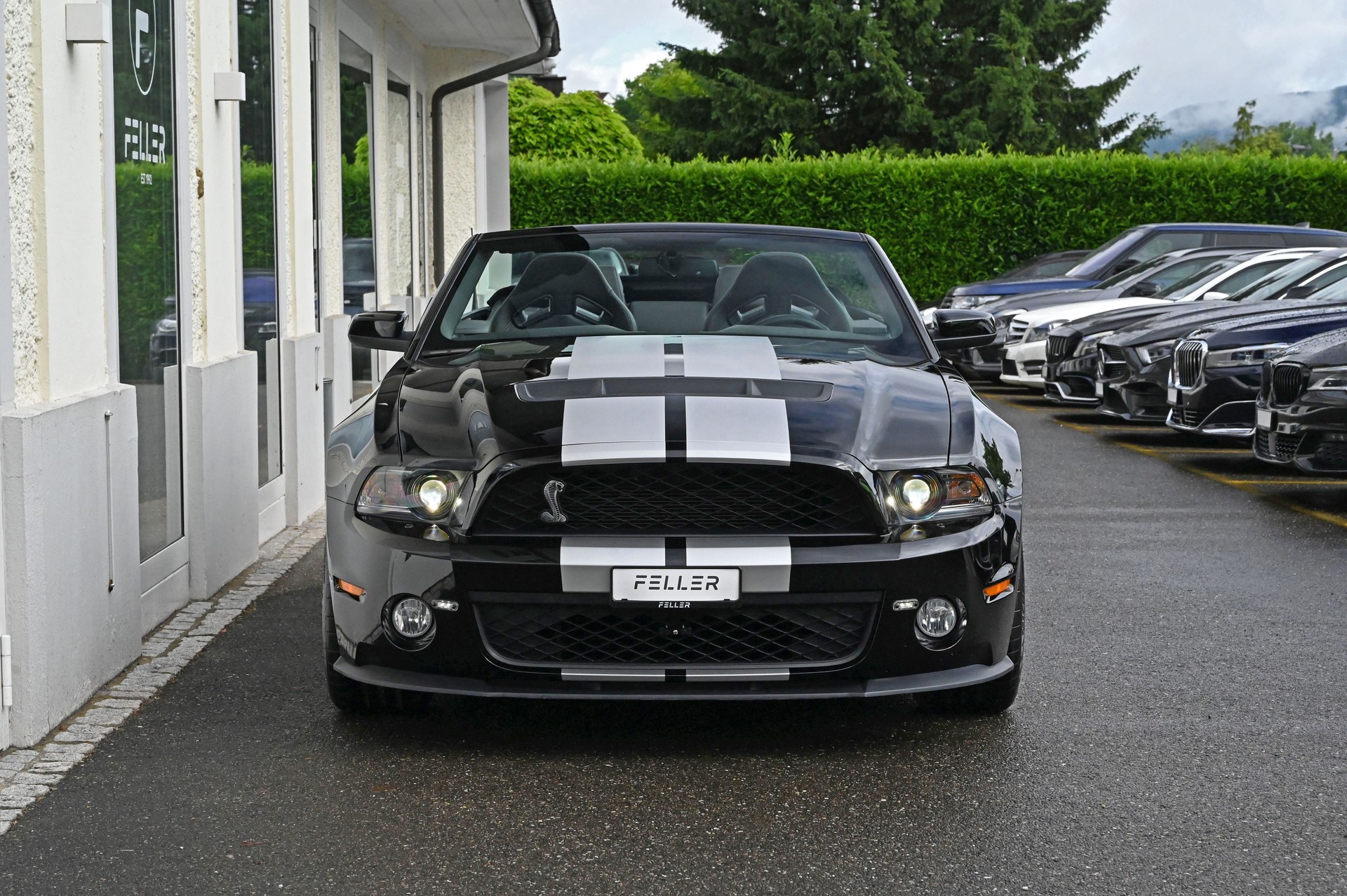 FORD Shelby GT500-showroom-element-2