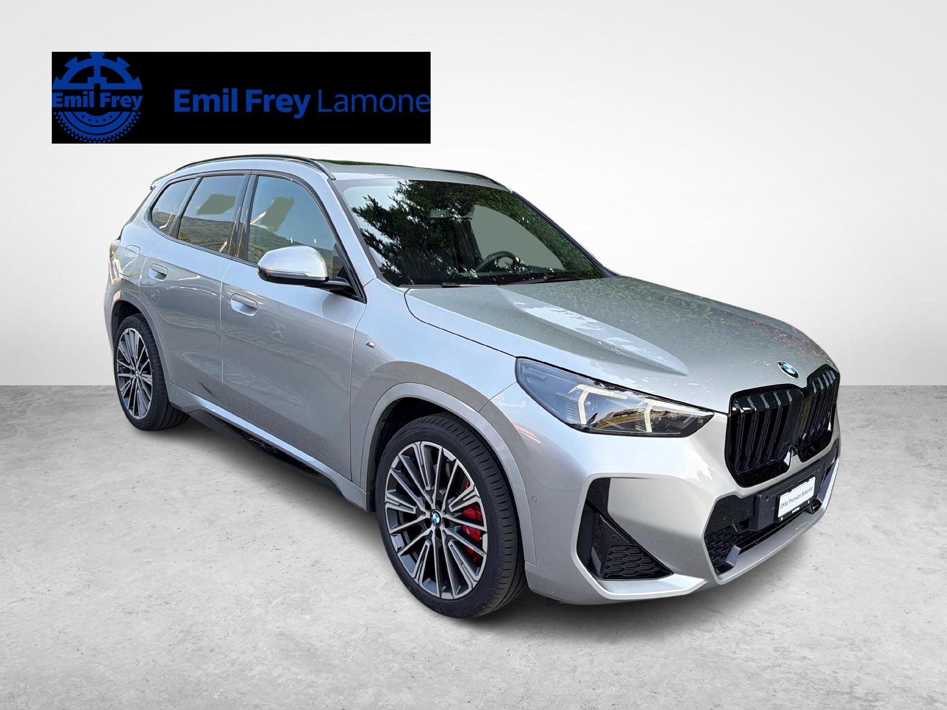 BMW X1 20d xDrive paddles-image-6