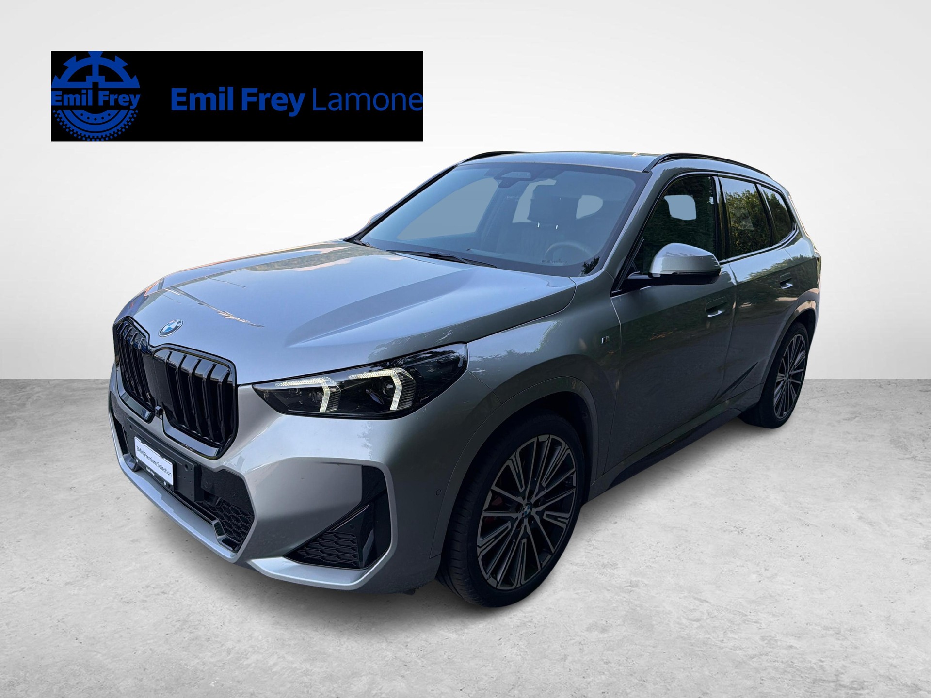BMW X1 20d xDrive paddles-image-0