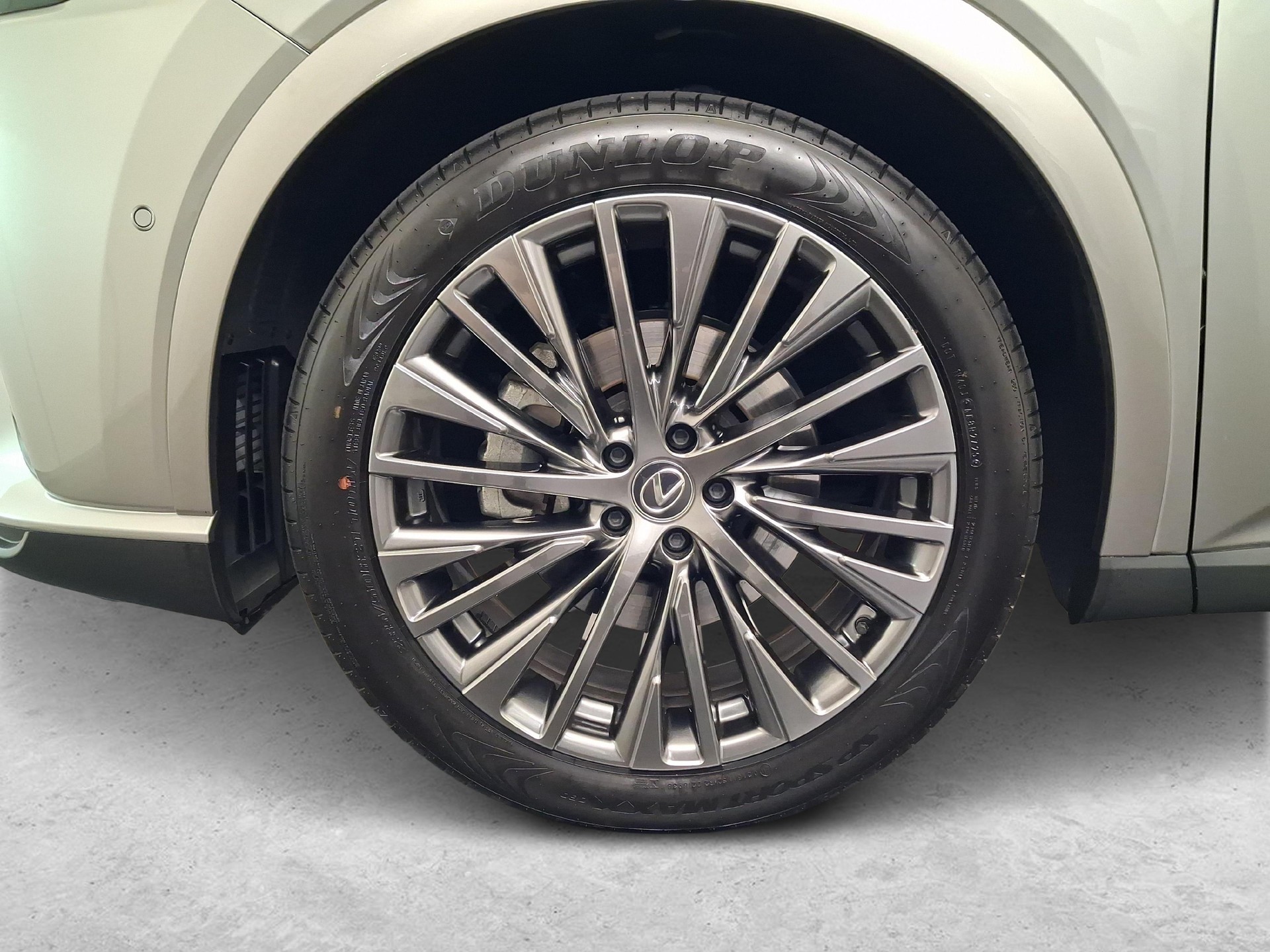 LEXUS RX 450h+ Excellence-image-14