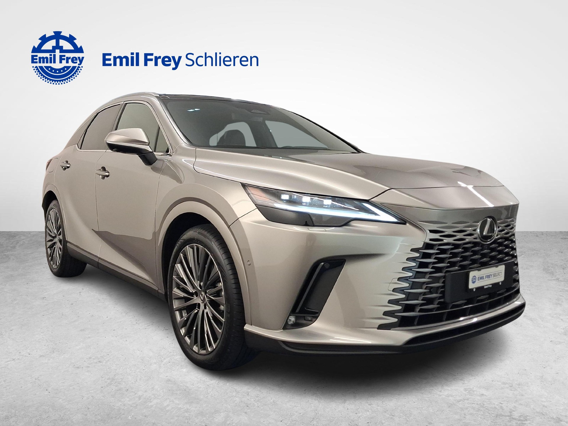 LEXUS RX 450h+ Excellence-image-6