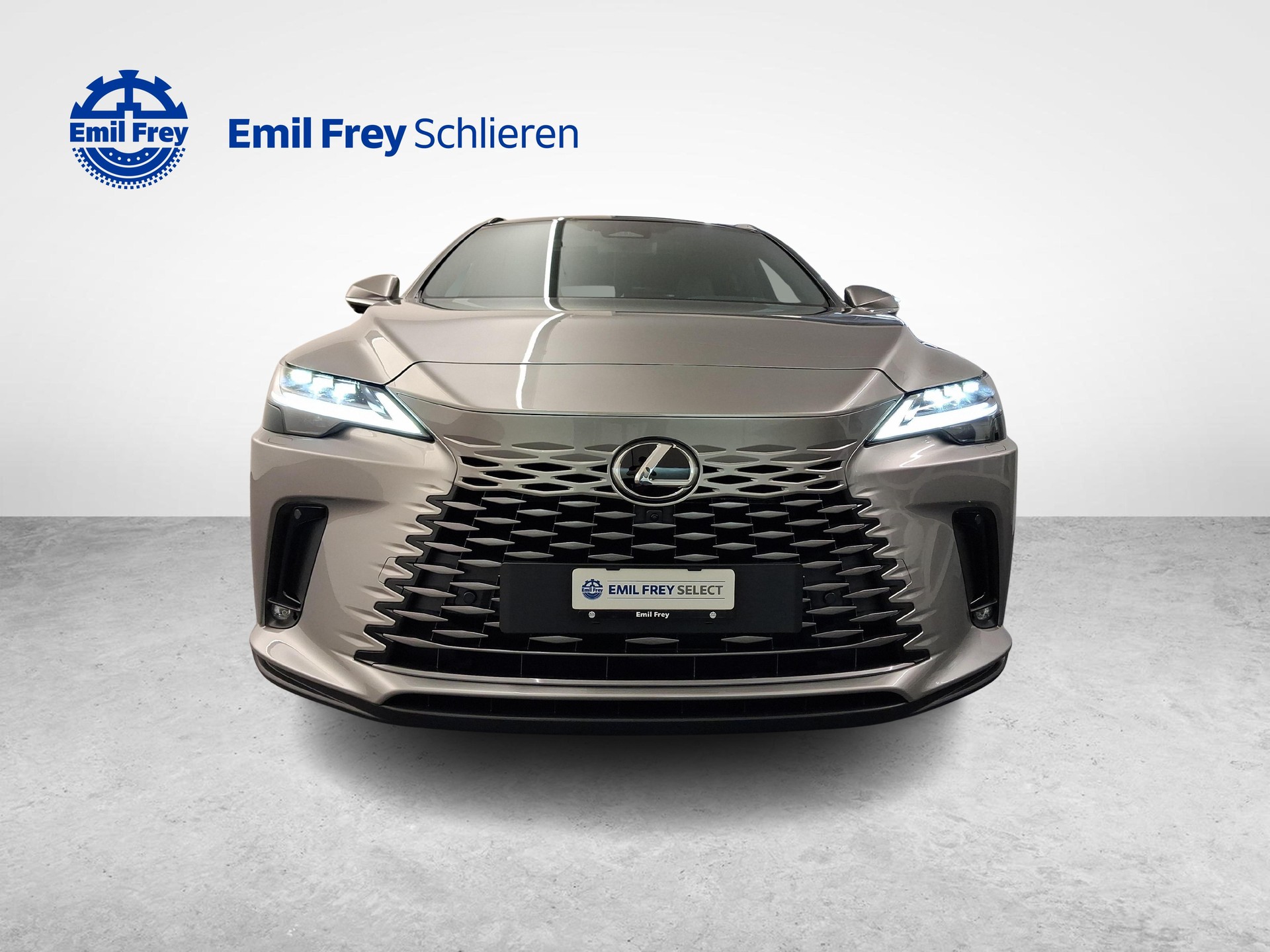 LEXUS RX 450h+ Excellence-image-7