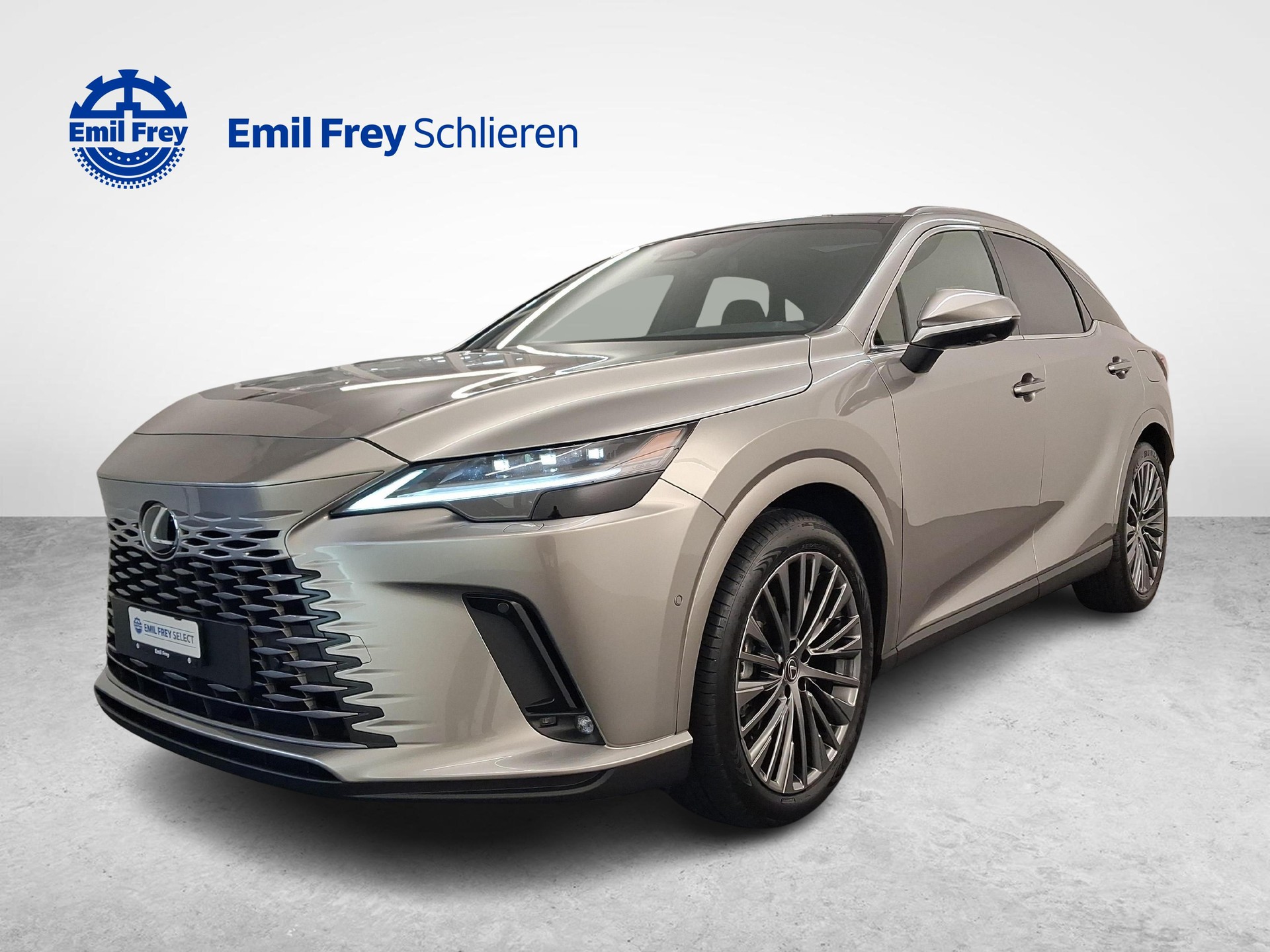 LEXUS RX 450h+ Excellence-image-0