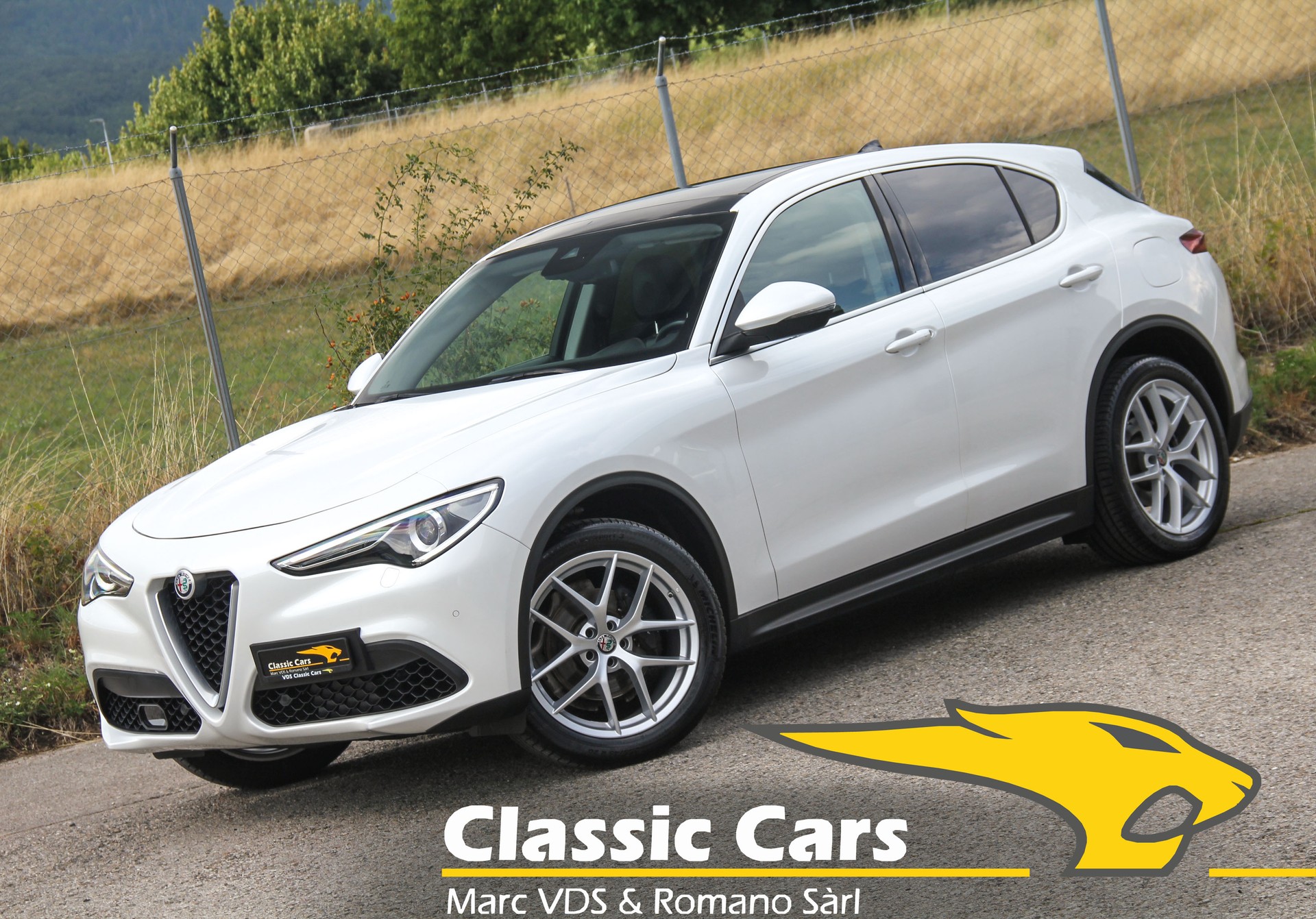 ALFA ROMEO Stelvio 2.0 Executive Q4 Automatic ⭐⭐⭐⭐⭐-image-0