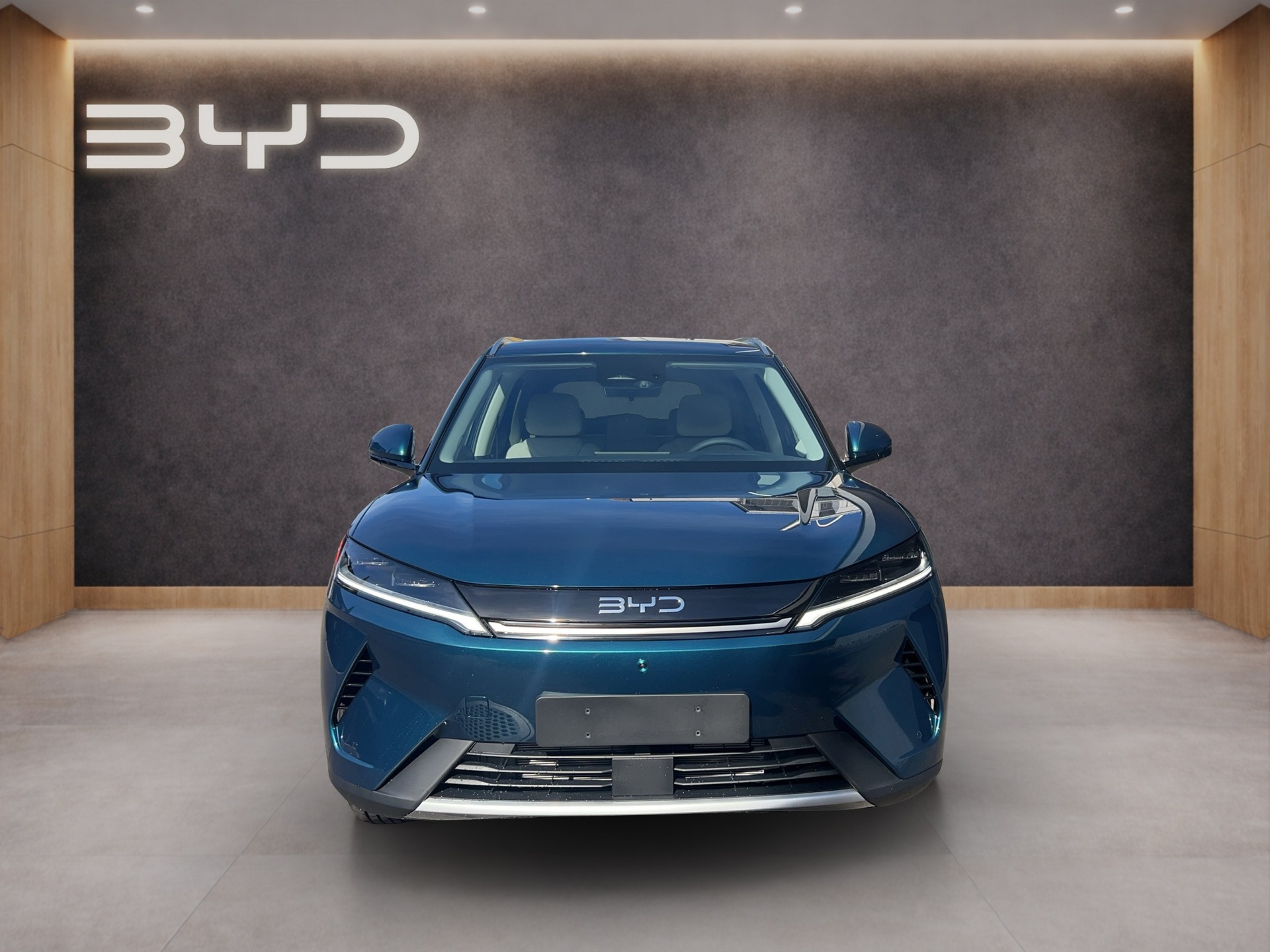 BYD Atto 2 DM-i Boost-image-7