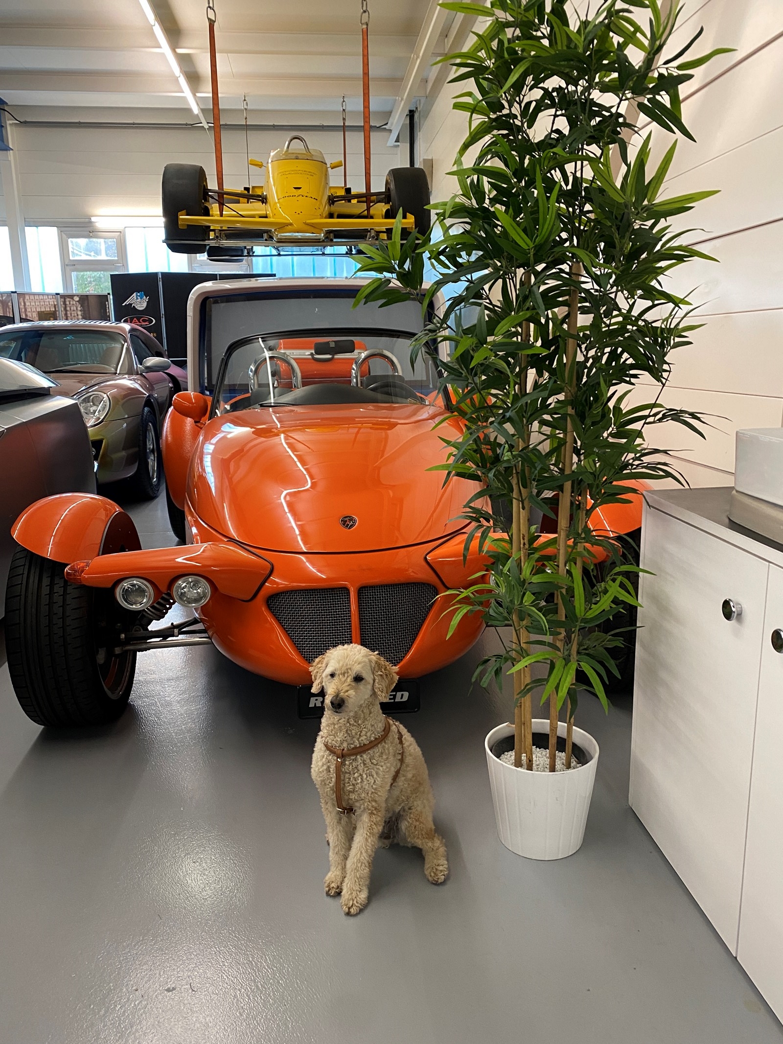 RINSPEED ROADSTER R-image-10