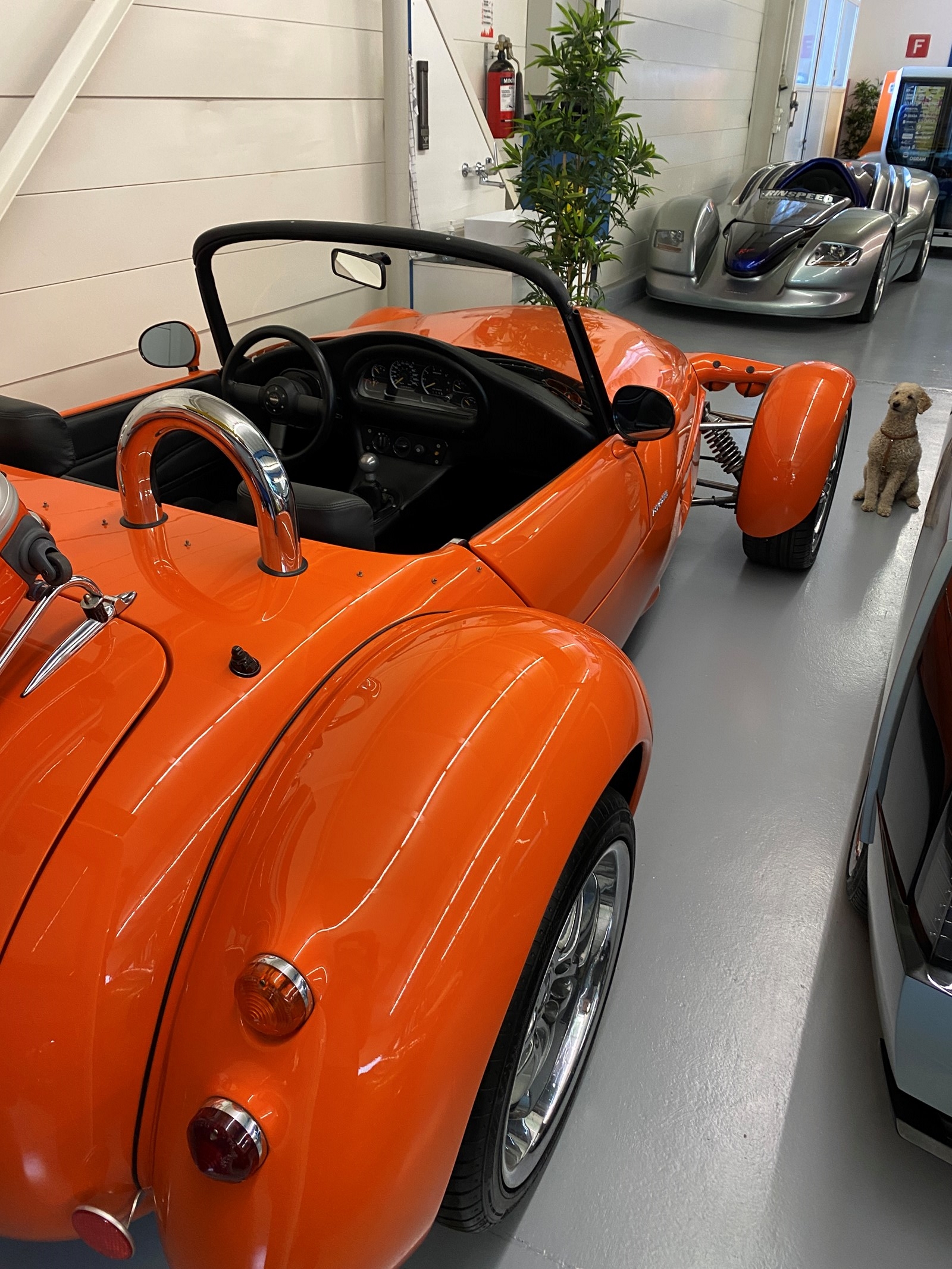 RINSPEED ROADSTER R-image-0