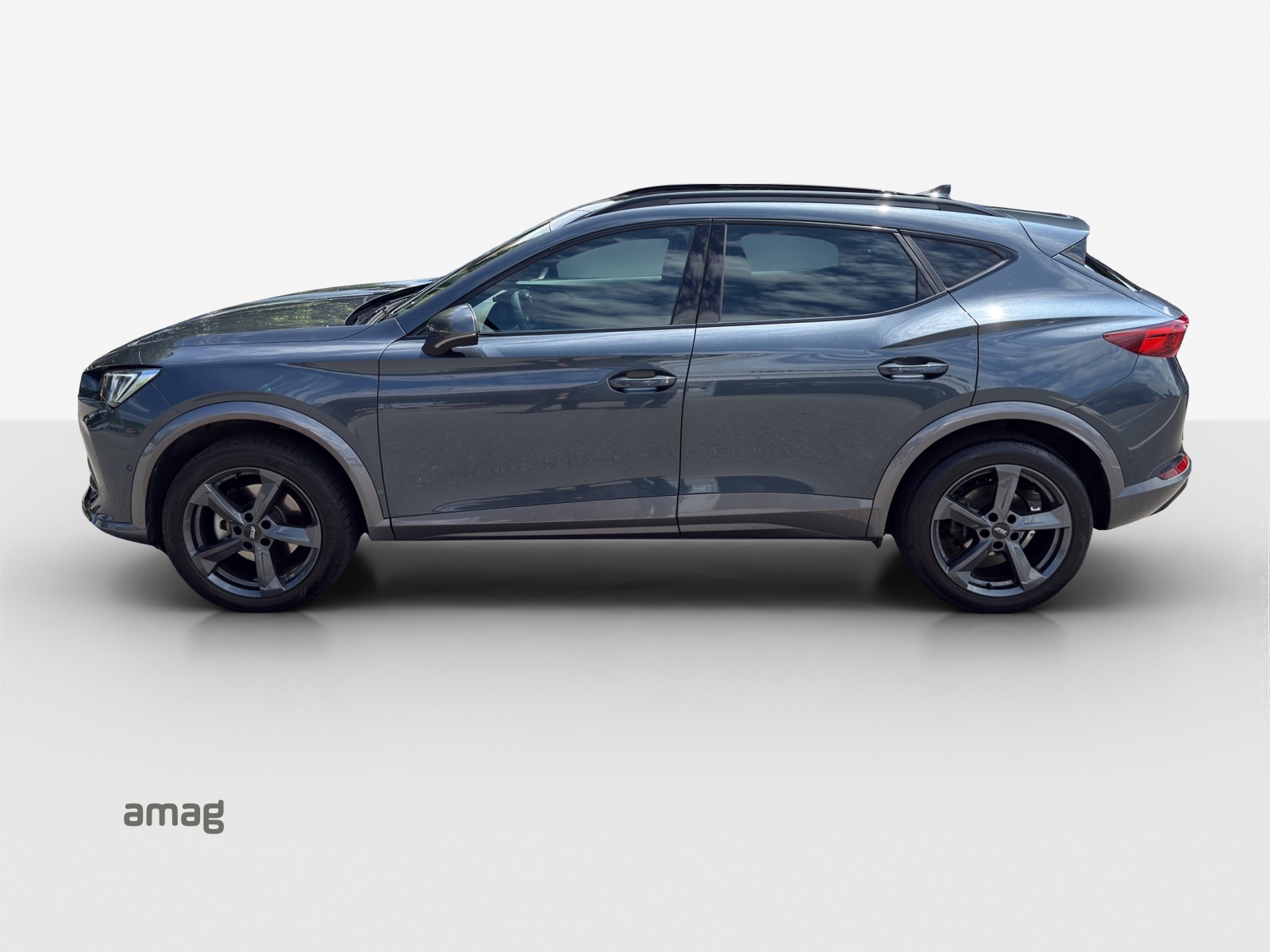 CUPRA Formentor 2.0TSI 4Drive Inicio DSG-image-1