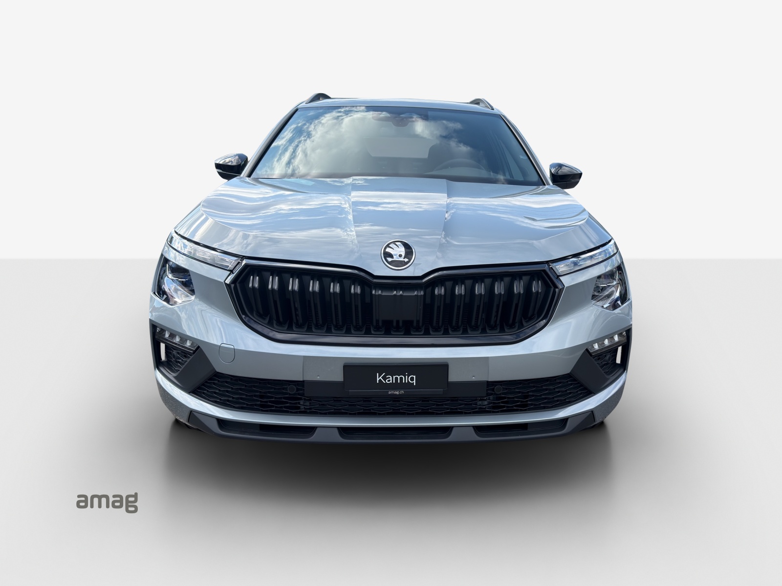 SKODA Kamiq 1.5 TSI Dynamic DSG-image-6