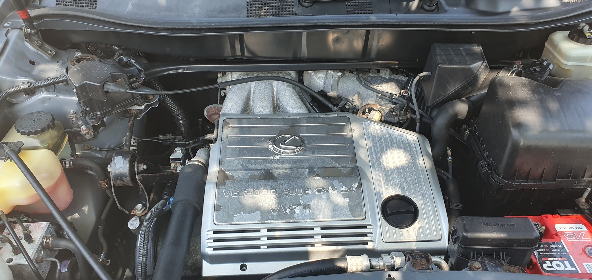 LEXUS 300-image-1
