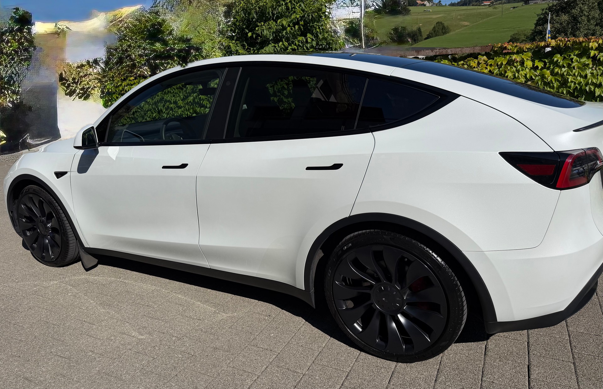 TESLA Performance-image-2