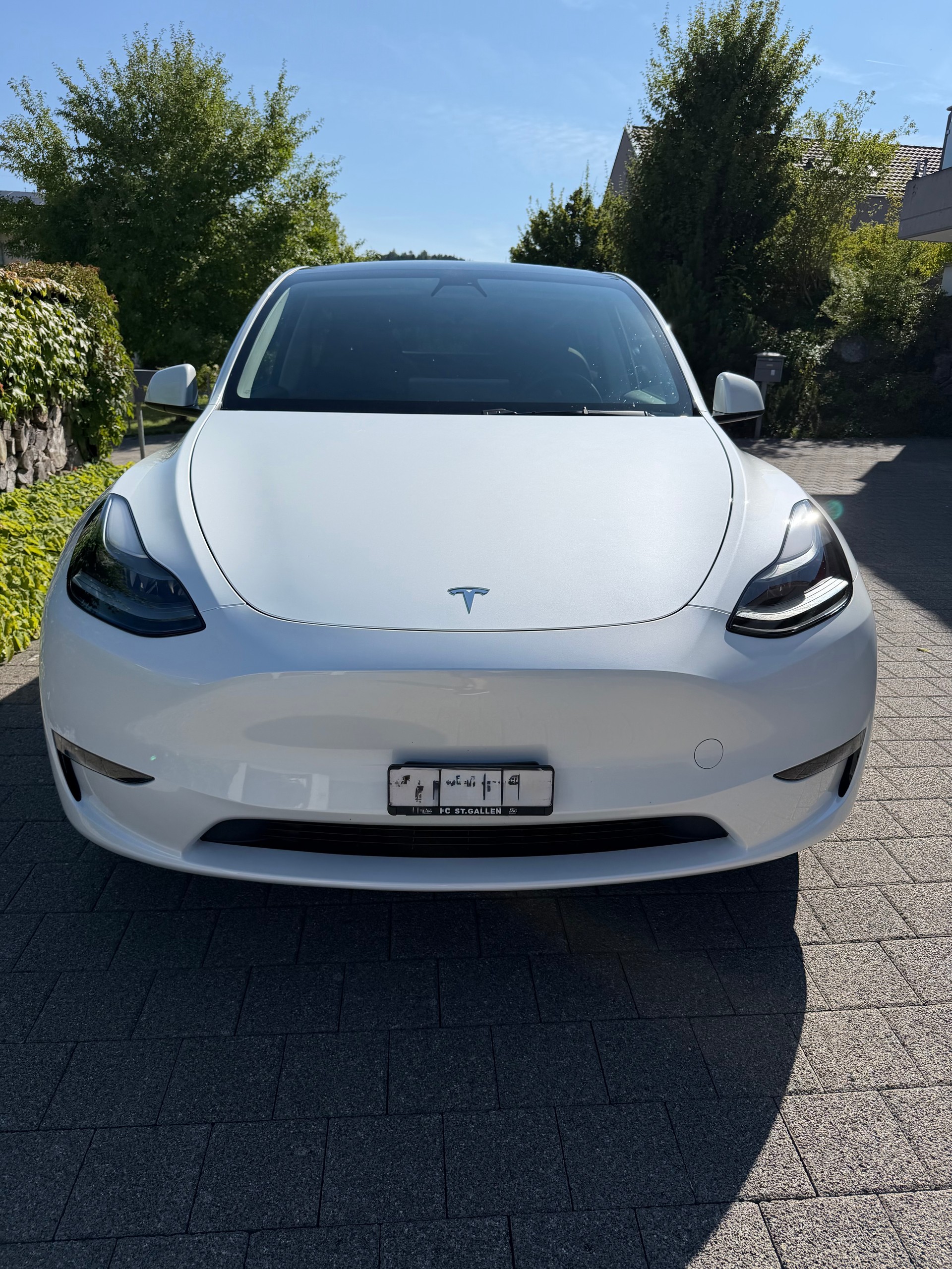 TESLA Performance-image-3