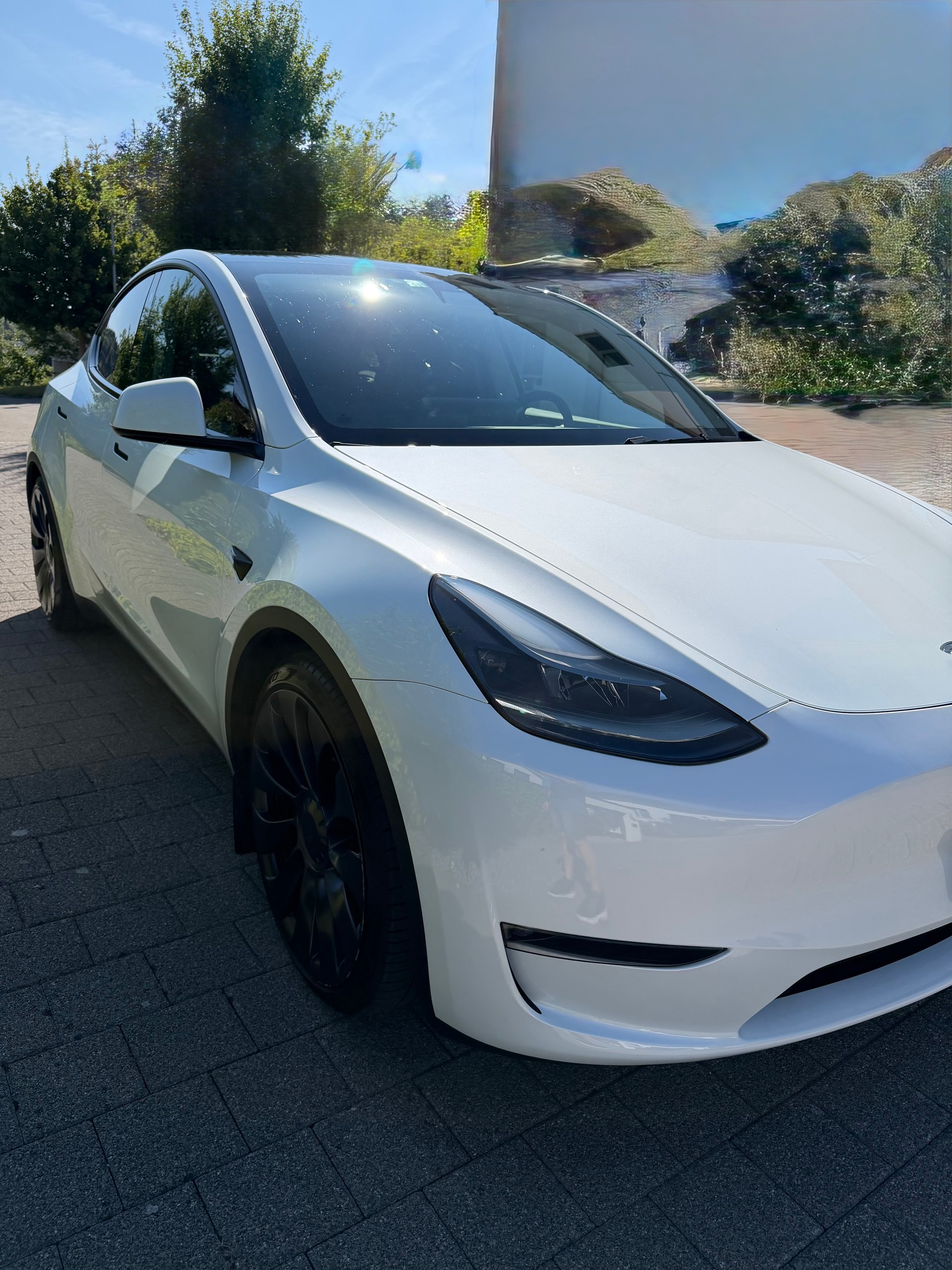 TESLA Performance-image-1