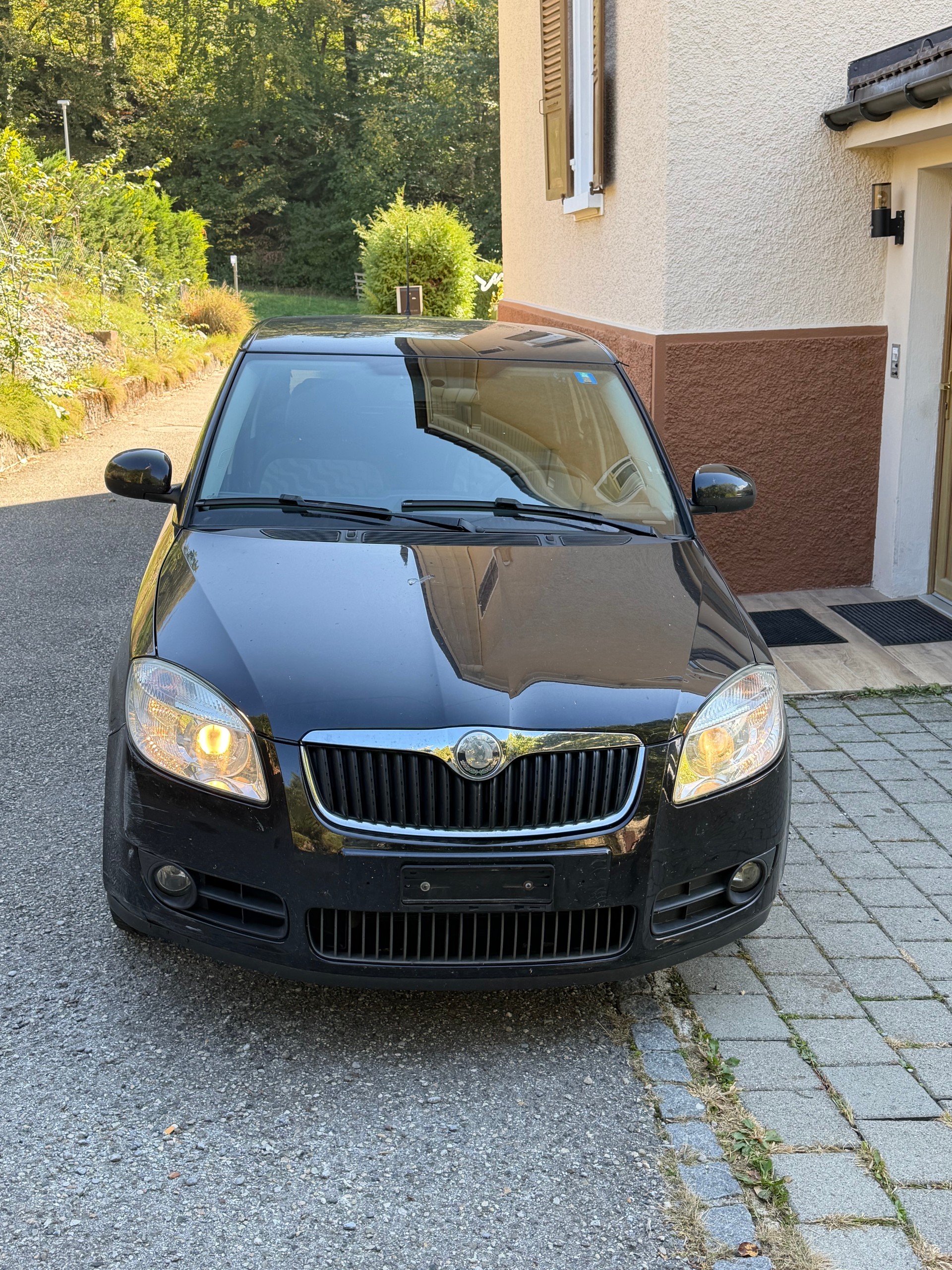 SKODA Fabia 1.9 TDI Elegance-image-7