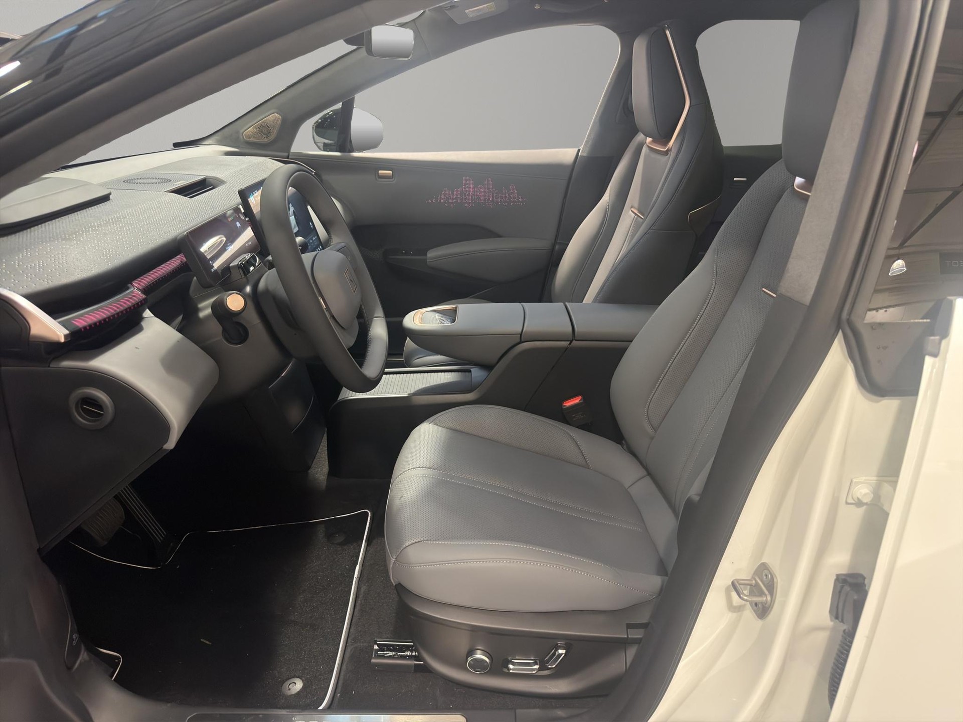 ZEEKR X Privilege AWD-showroom-element-1