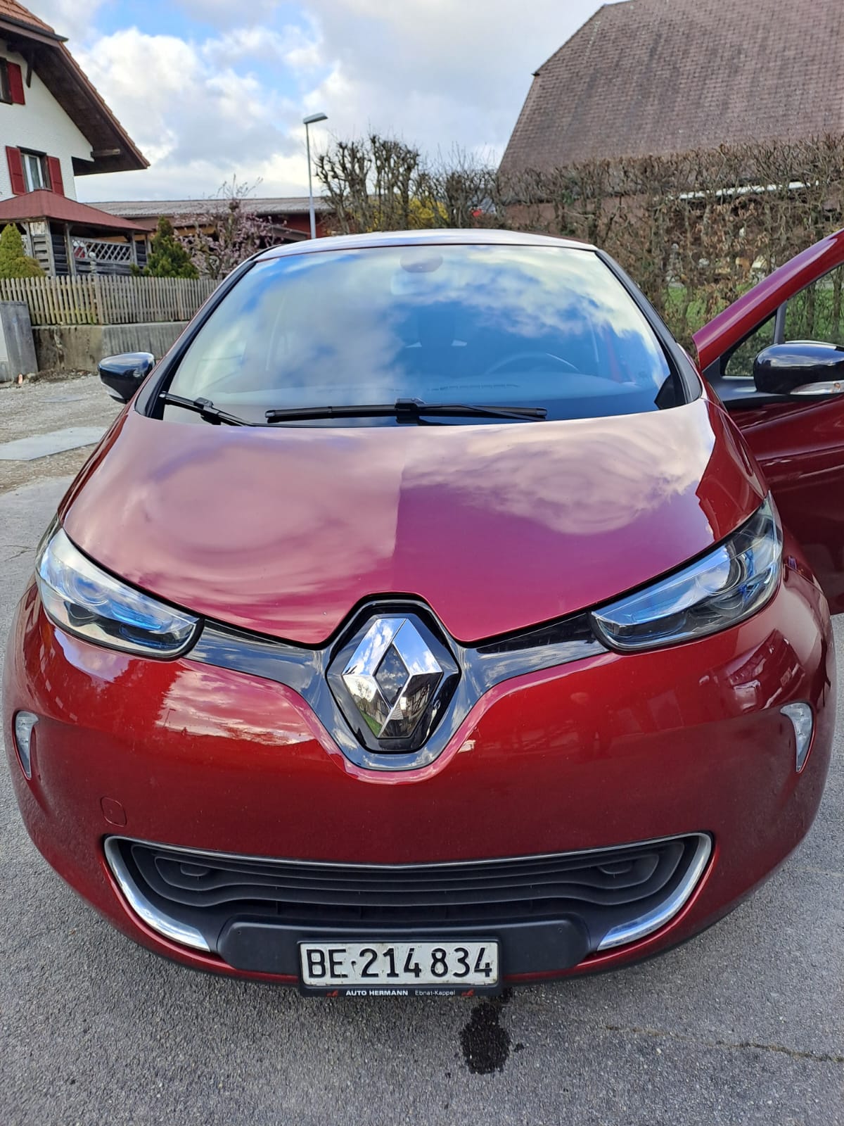 RENAULT R110 Limited inkl. Batterie-image-1