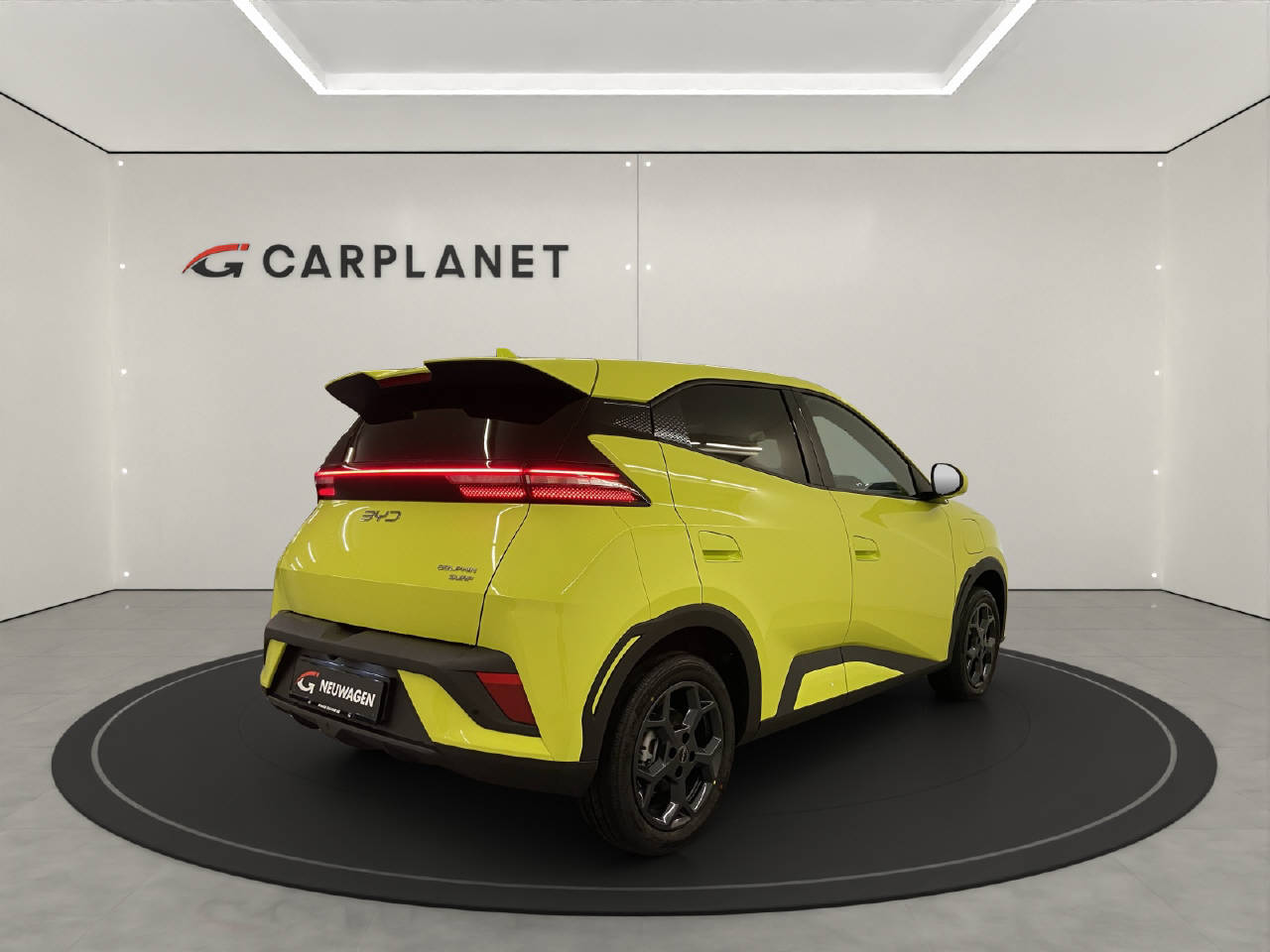 BYD Dolphin Surf Comfort-showroom-element-3