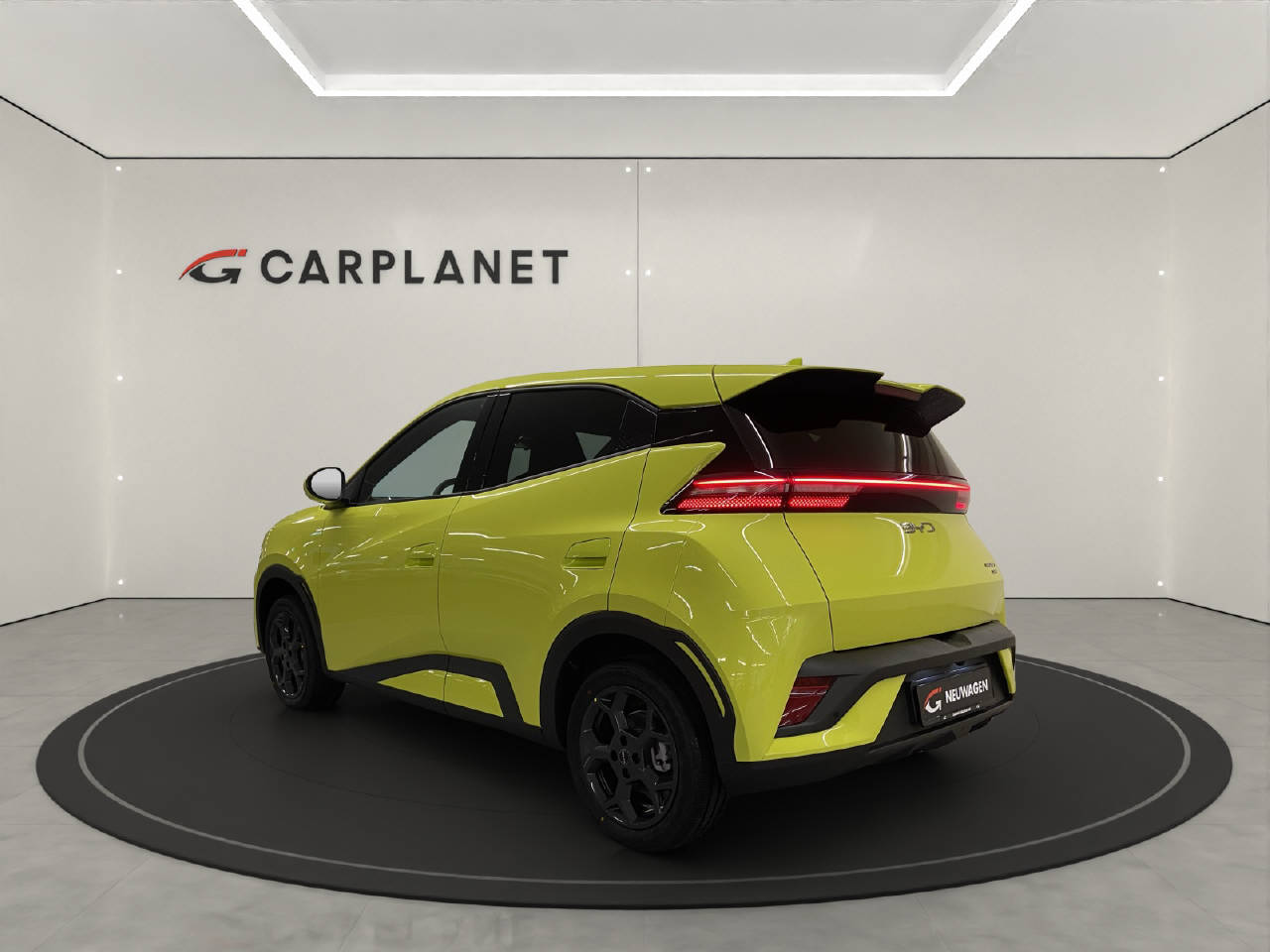 BYD Dolphin Surf Comfort-showroom-element-2
