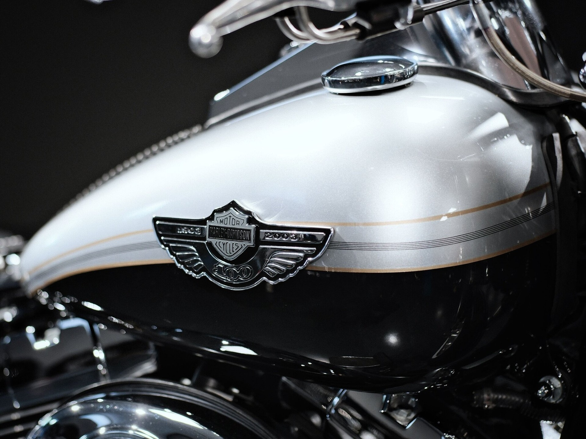 HARLEY-DAVIDSON FLSTF-I Fat Boy-image-8