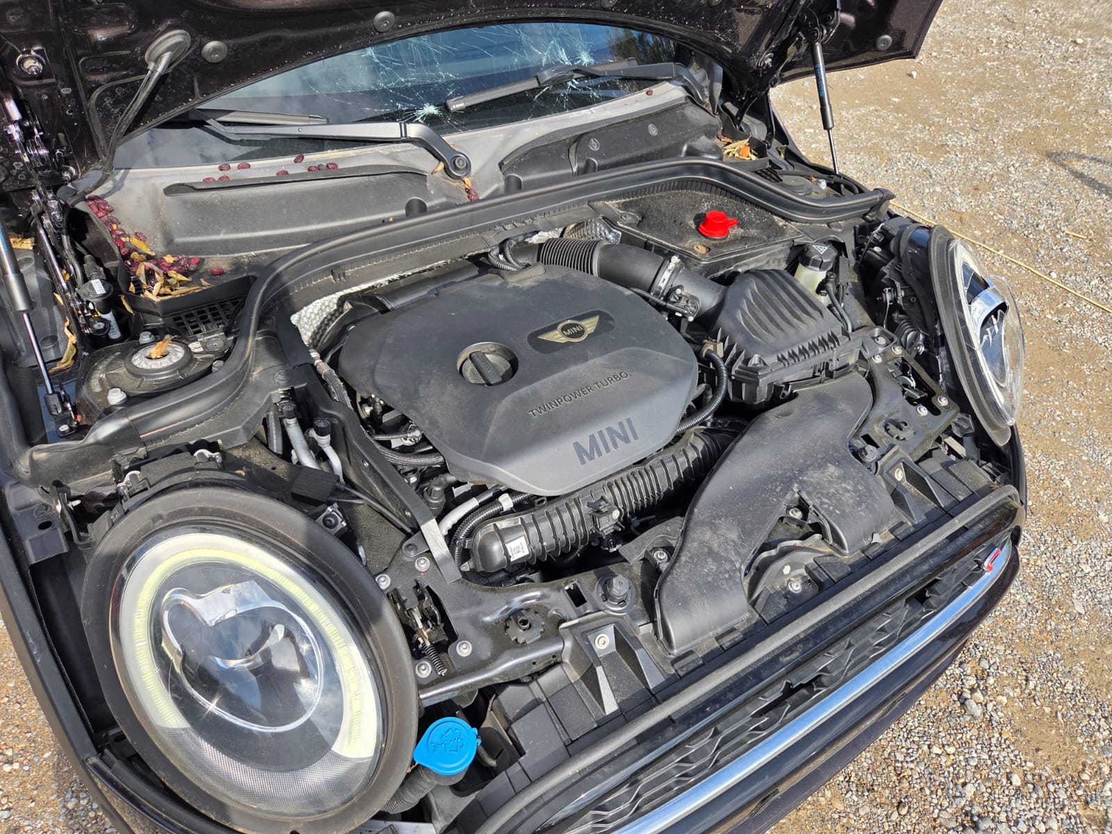 MINI Cooper S Steptronic-image-12