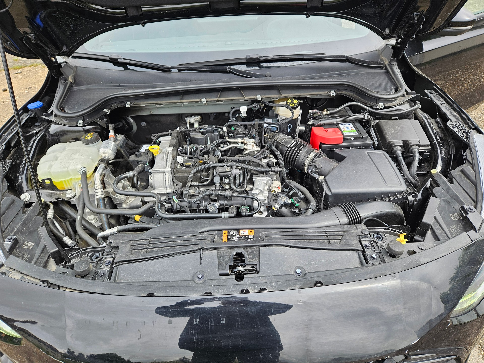 FORD Focus 1.0 MHEV AUTOMAT155 PS ST-Line BESCHADIG ENDOMMAGEE provisorisch fahrbar-image-12